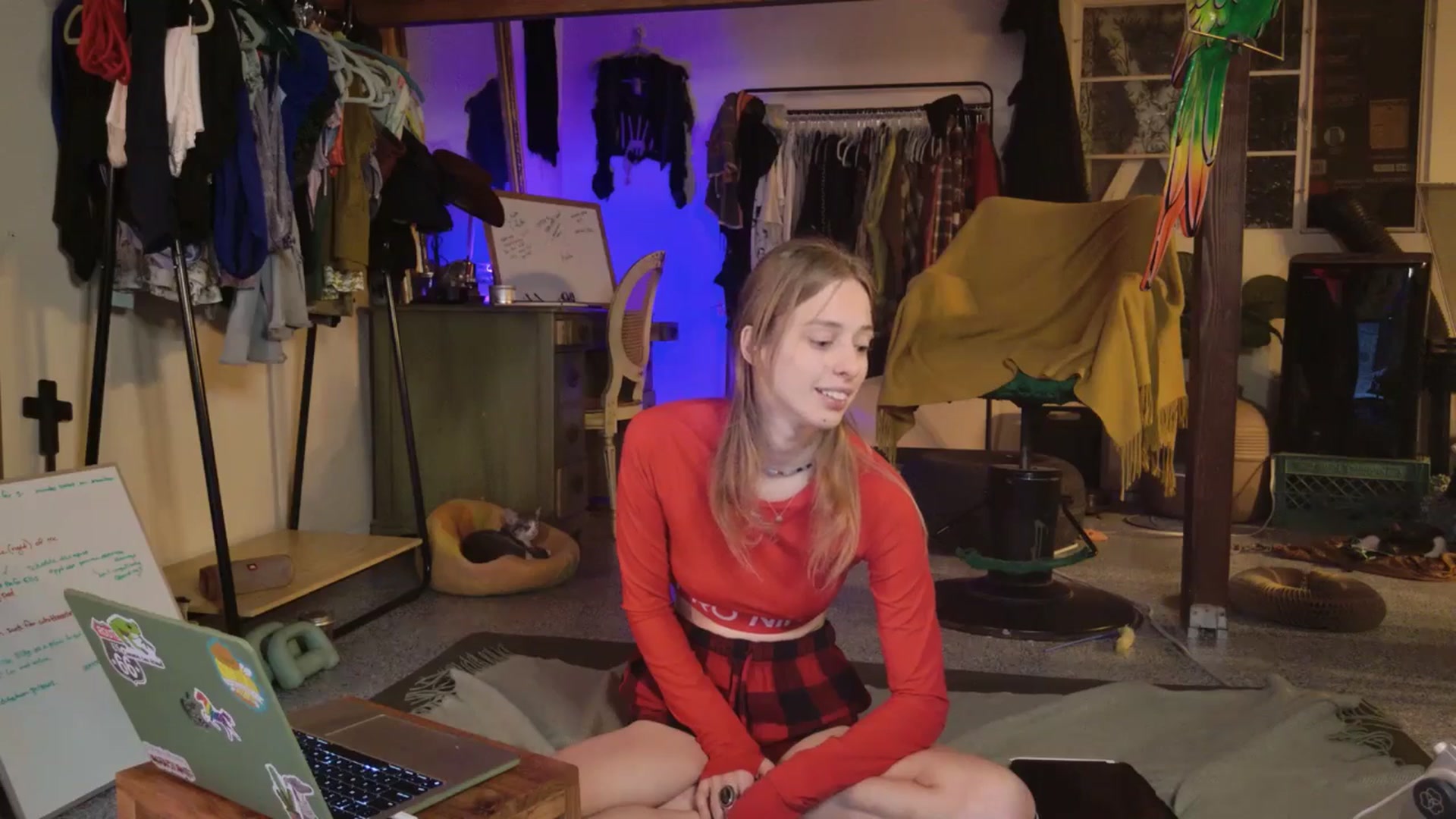 Gallery image thumbnail from ellispierce's myfreecams stream on, 11/03/2025, 08:39 image 7 of 20