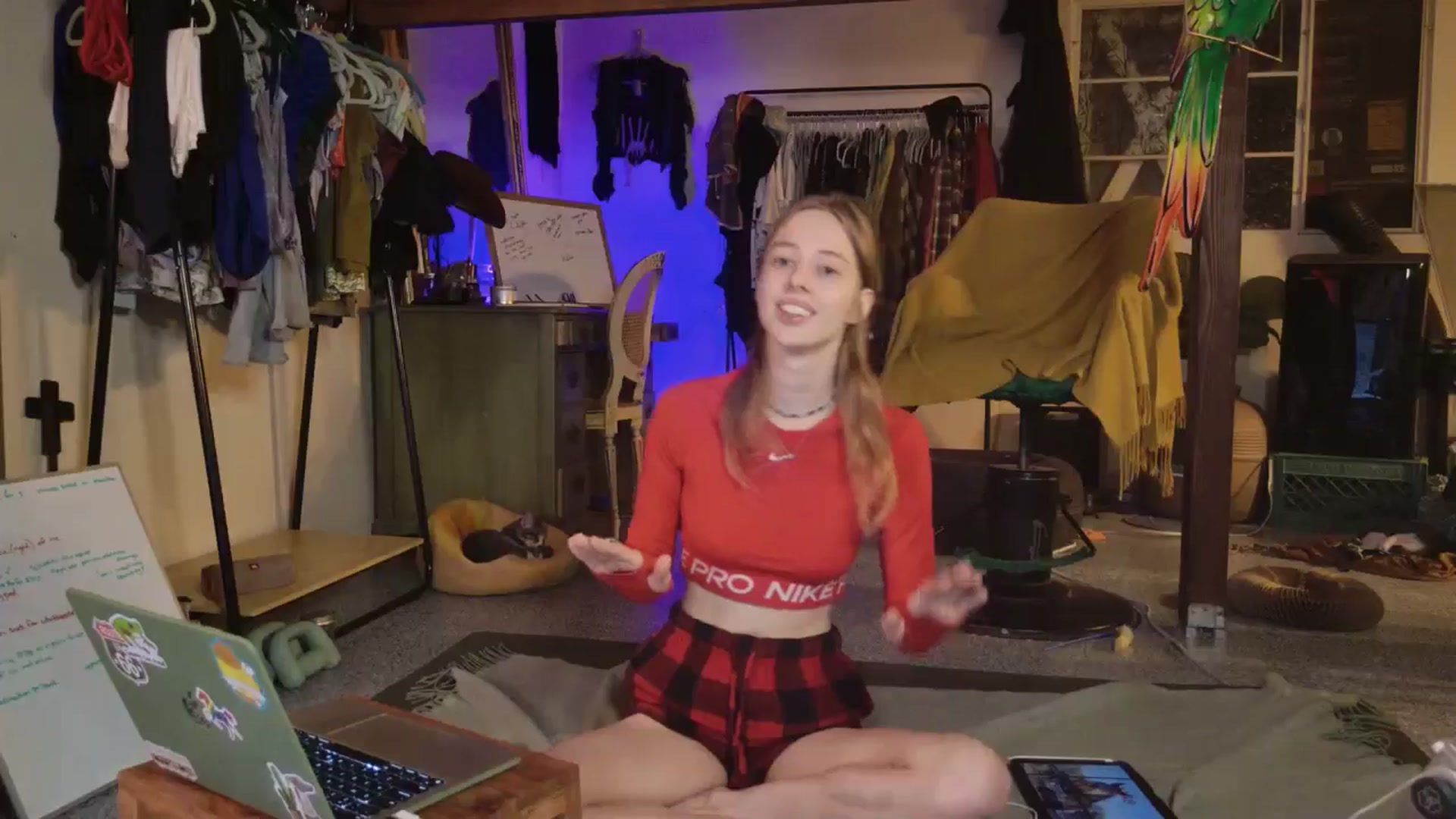 Gallery image thumbnail from ellispierce's myfreecams stream on, 11/03/2025, 08:39 image 6 of 20
