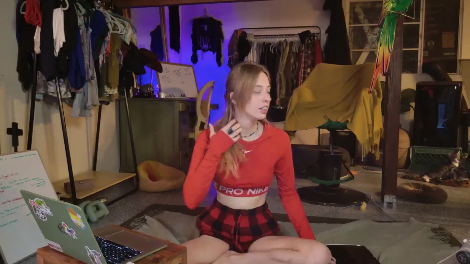 Gallery image thumbnail from ellispierce's myfreecams stream on, 11/03/2025, 08:39 image 8 of 20
