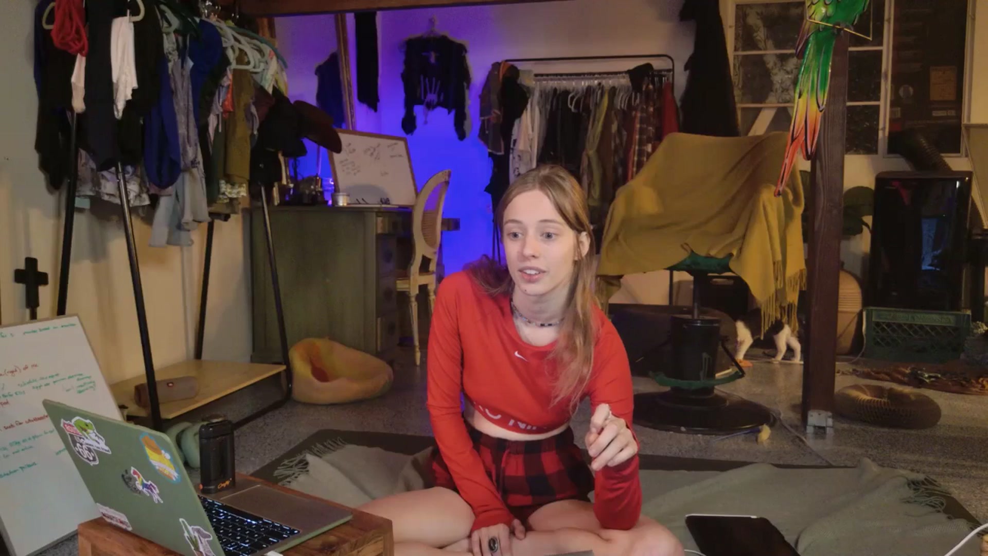 Gallery image thumbnail from ellispierce's myfreecams stream on, 11/03/2025, 08:39 image 14 of 20