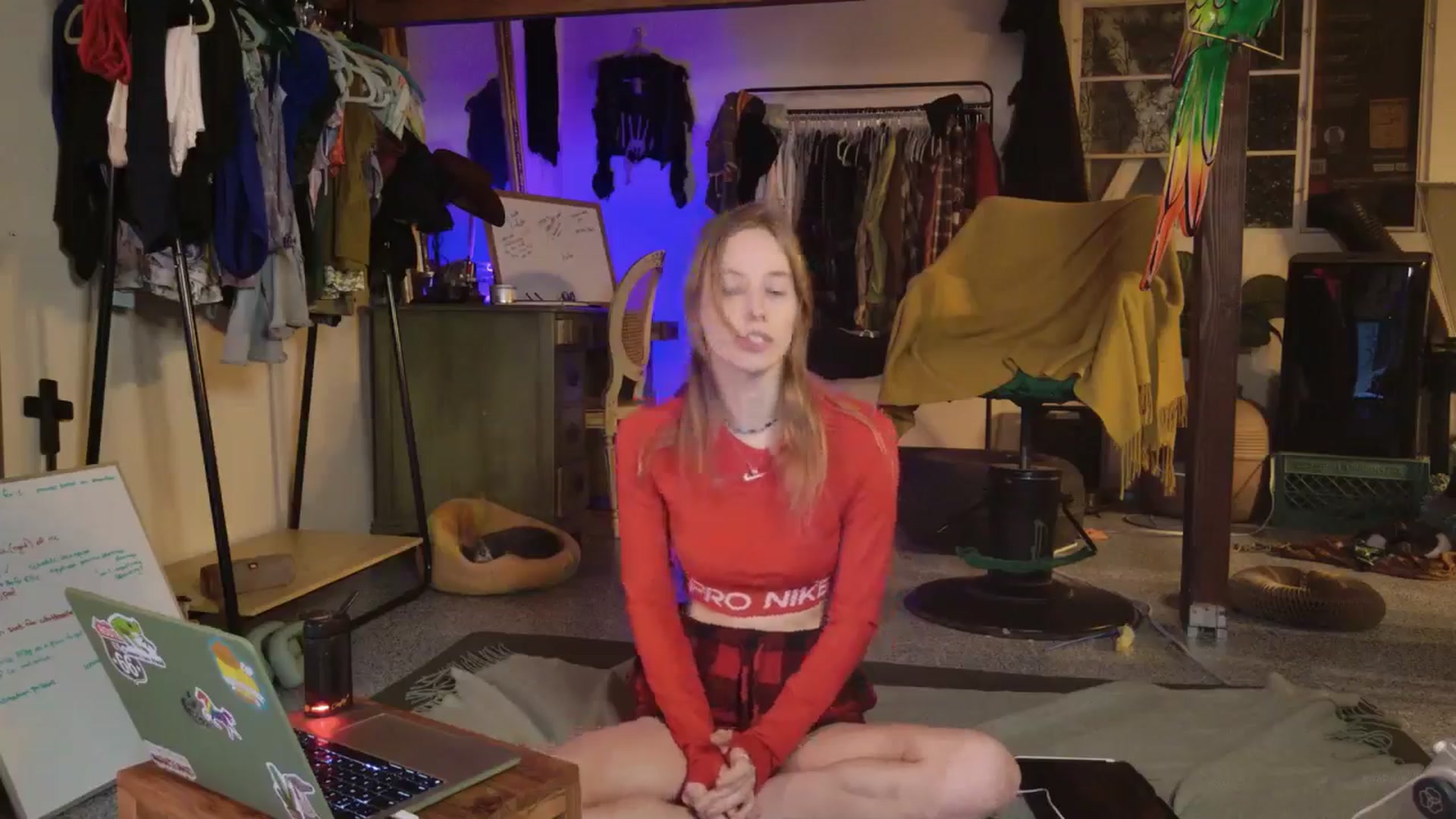 Gallery image thumbnail from ellispierce's myfreecams stream on, 11/03/2025, 08:39 image 2 of 20