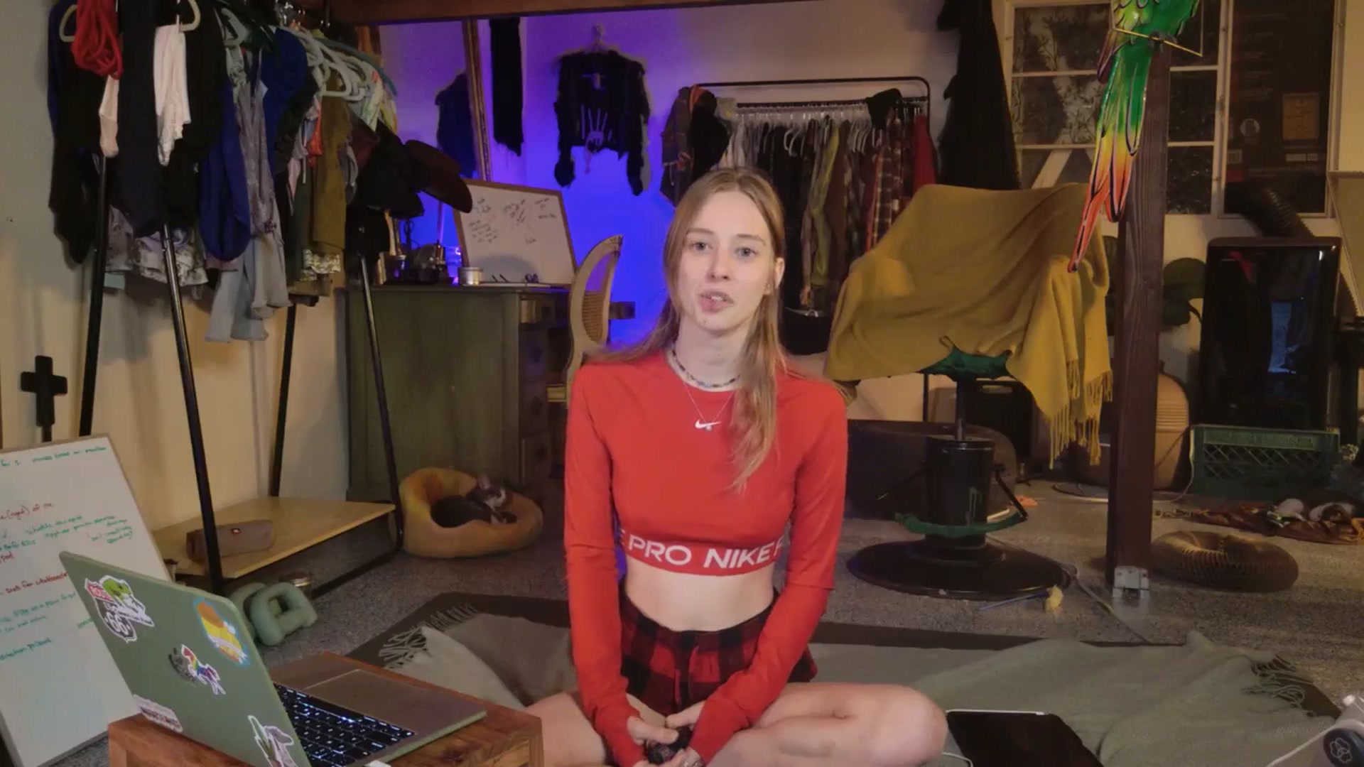 Gallery image thumbnail from ellispierce's myfreecams stream on, 11/03/2025, 08:39 image 5 of 20