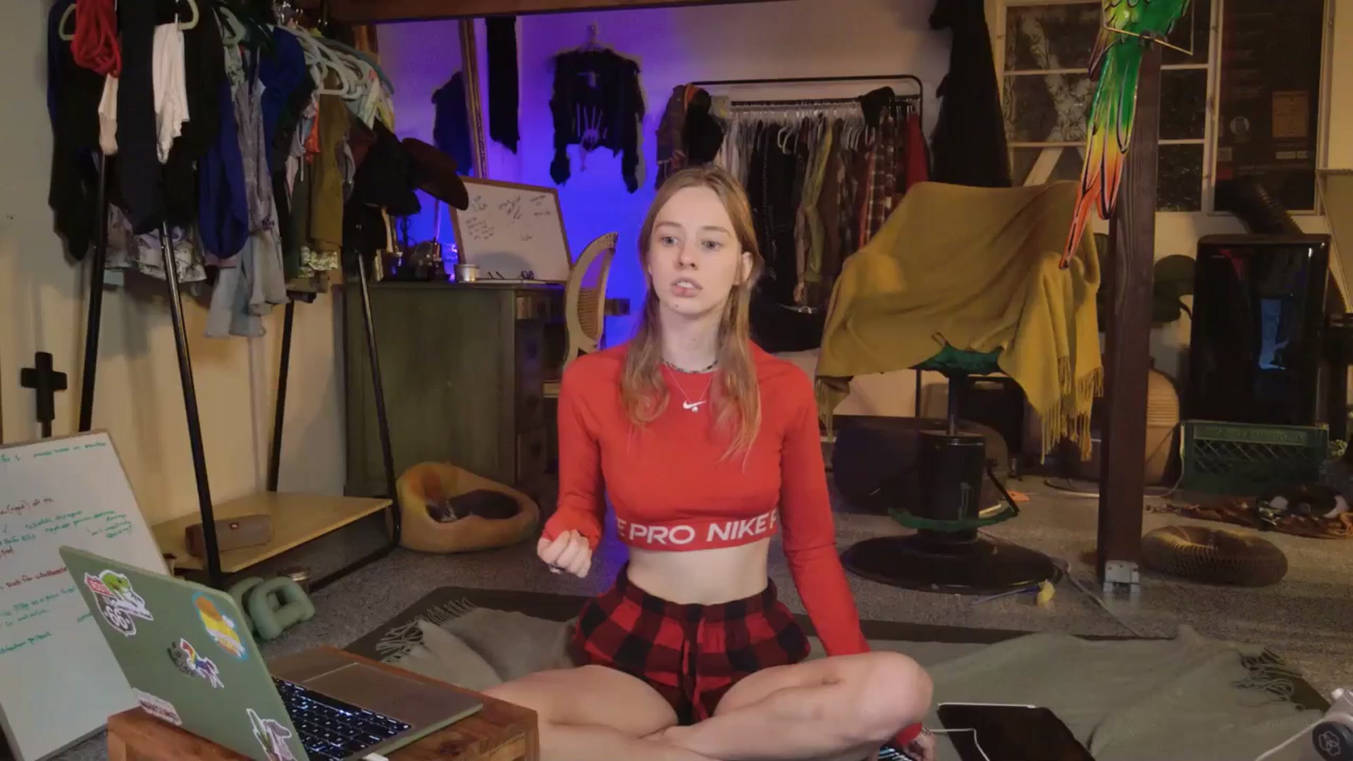 Gallery image thumbnail from ellispierce's myfreecams stream on, 11/03/2025, 08:39 image 1 of 20