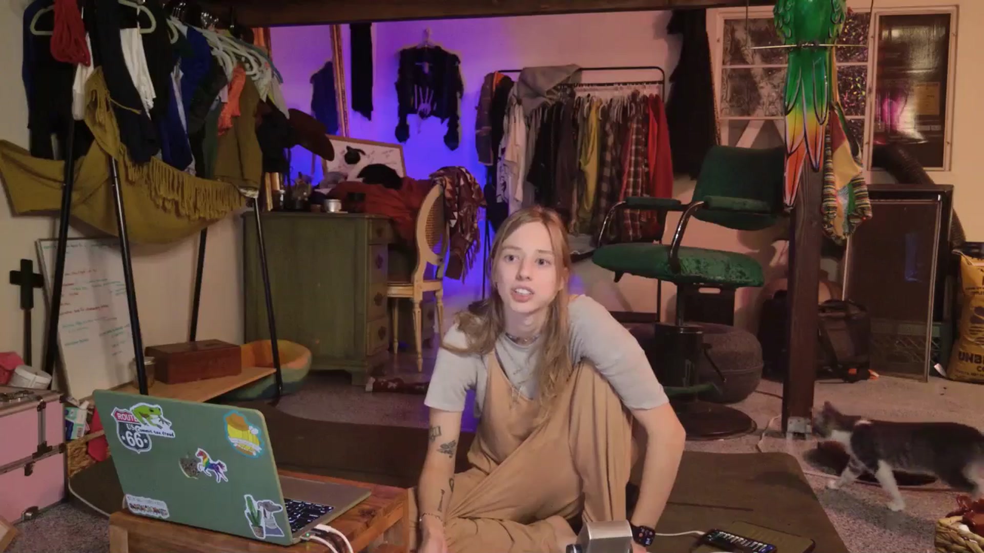 Gallery image thumbnail from ellispierce's myfreecams stream on, 11/06/2025, 09:46 image 18 of 20