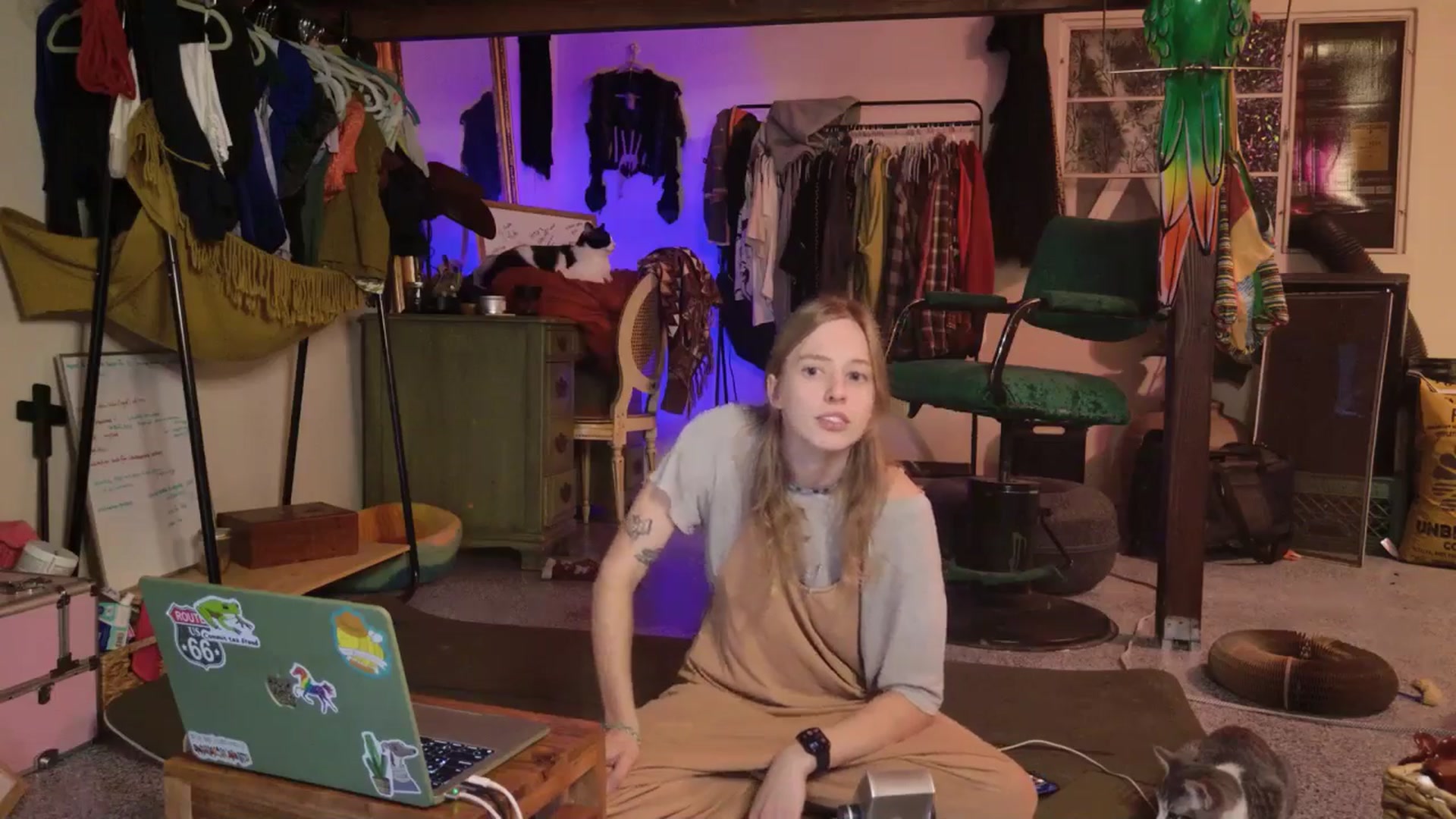 Gallery image thumbnail from ellispierce's myfreecams stream on, 11/06/2025, 09:46 image 20 of 20