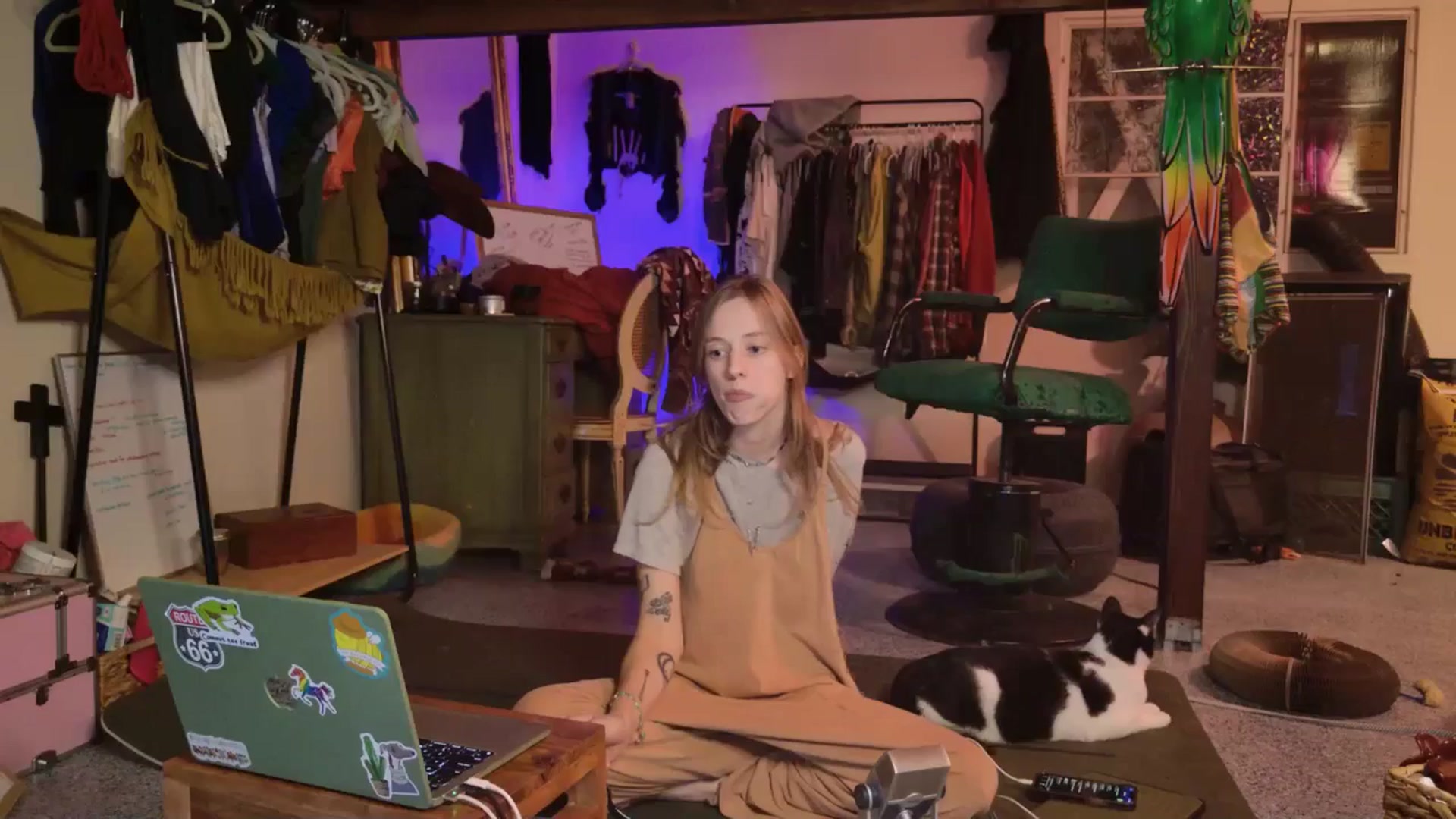 Gallery image thumbnail from ellispierce's myfreecams stream on, 11/06/2025, 10:36 image 13 of 20