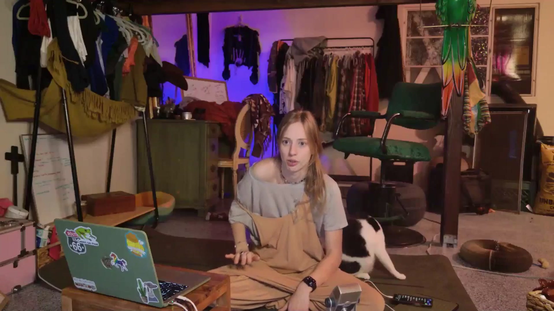 Gallery image thumbnail from ellispierce's myfreecams stream on, 11/06/2025, 10:36 image 15 of 20