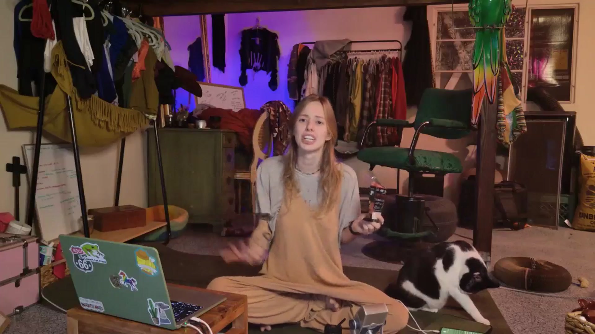 Gallery image thumbnail from ellispierce's myfreecams stream on, 11/06/2025, 10:36 image 19 of 20