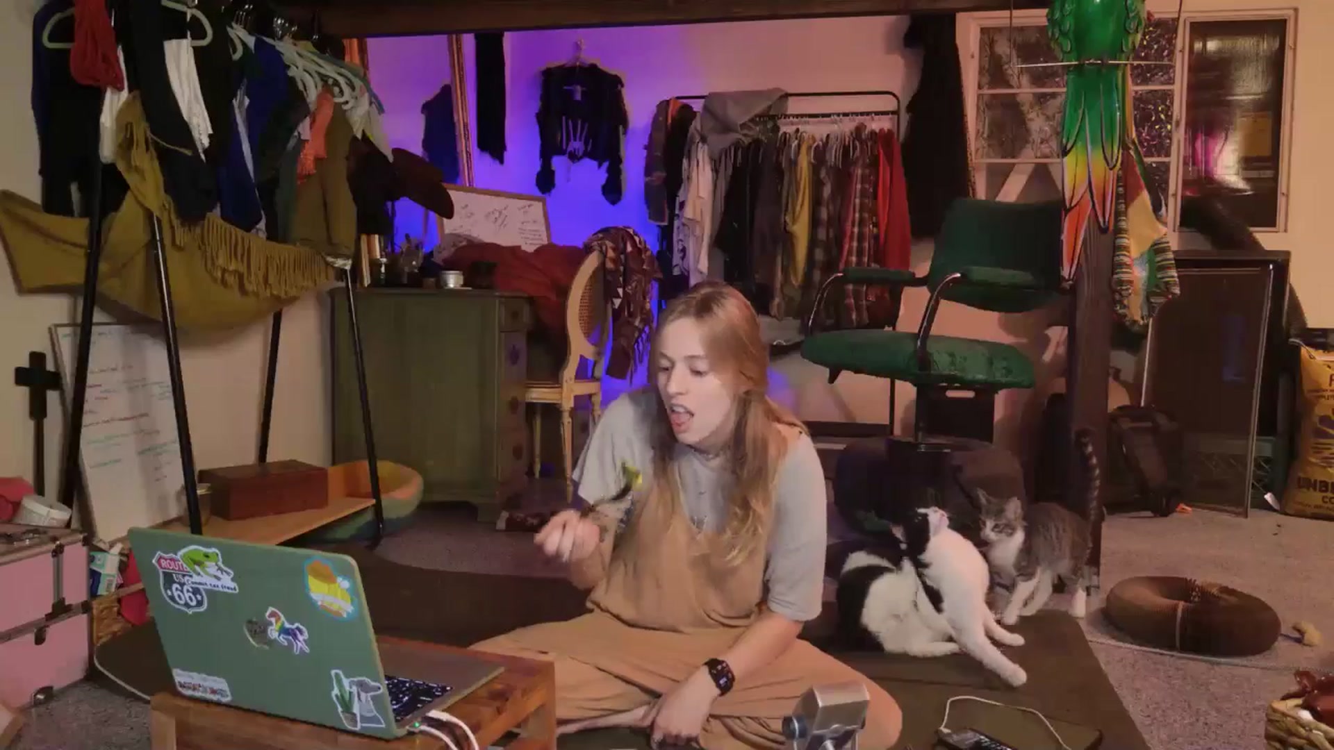 Gallery image thumbnail from ellispierce's myfreecams stream on, 11/06/2025, 10:36 image 12 of 20