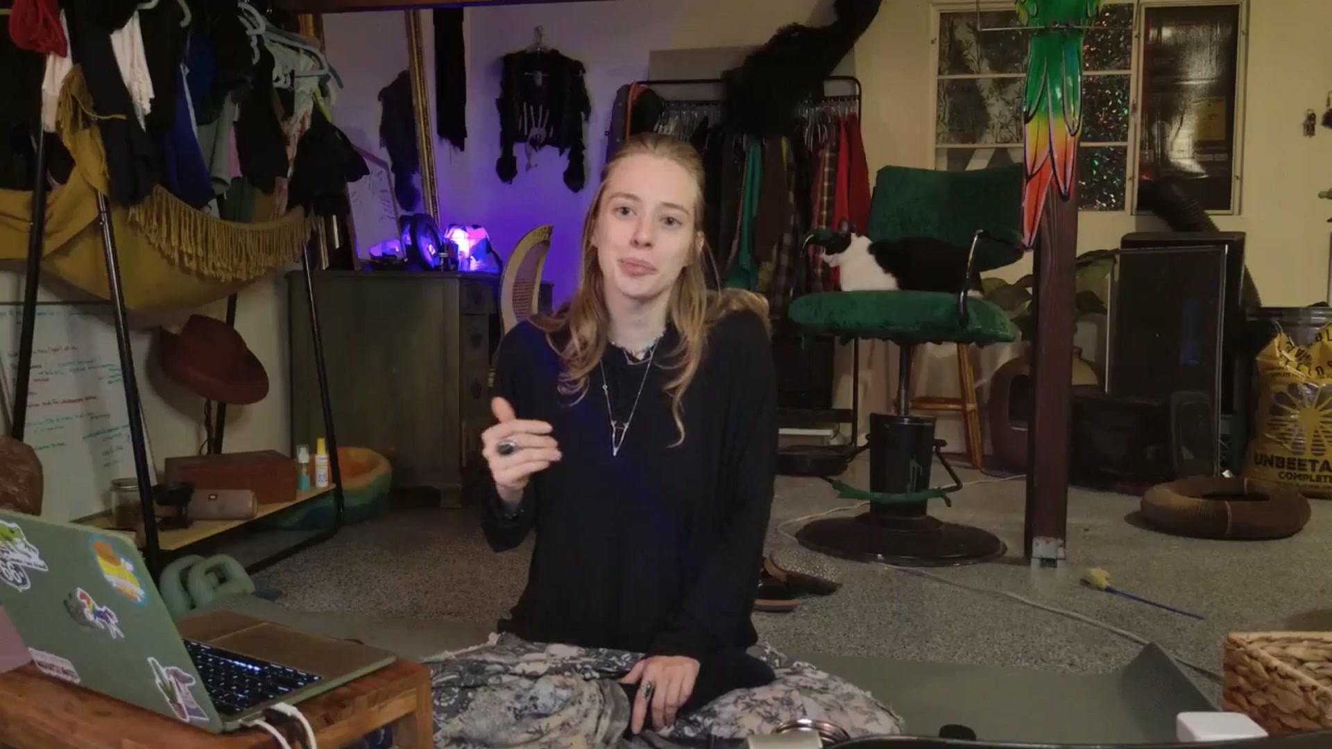 Gallery image thumbnail from ellispierce's myfreecams stream on, 11/09/2025, 08:00 image 17 of 20