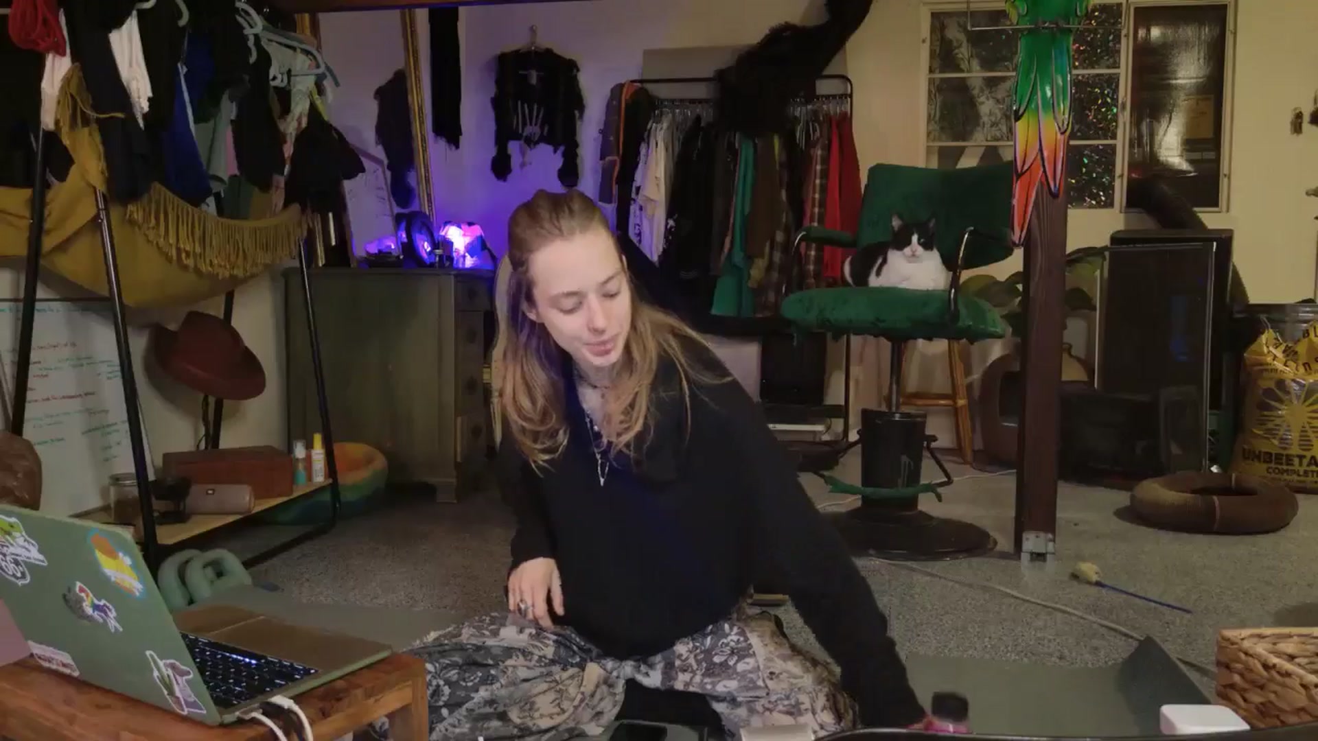 Gallery image thumbnail from ellispierce's myfreecams stream on, 11/09/2025, 08:00 image 10 of 20