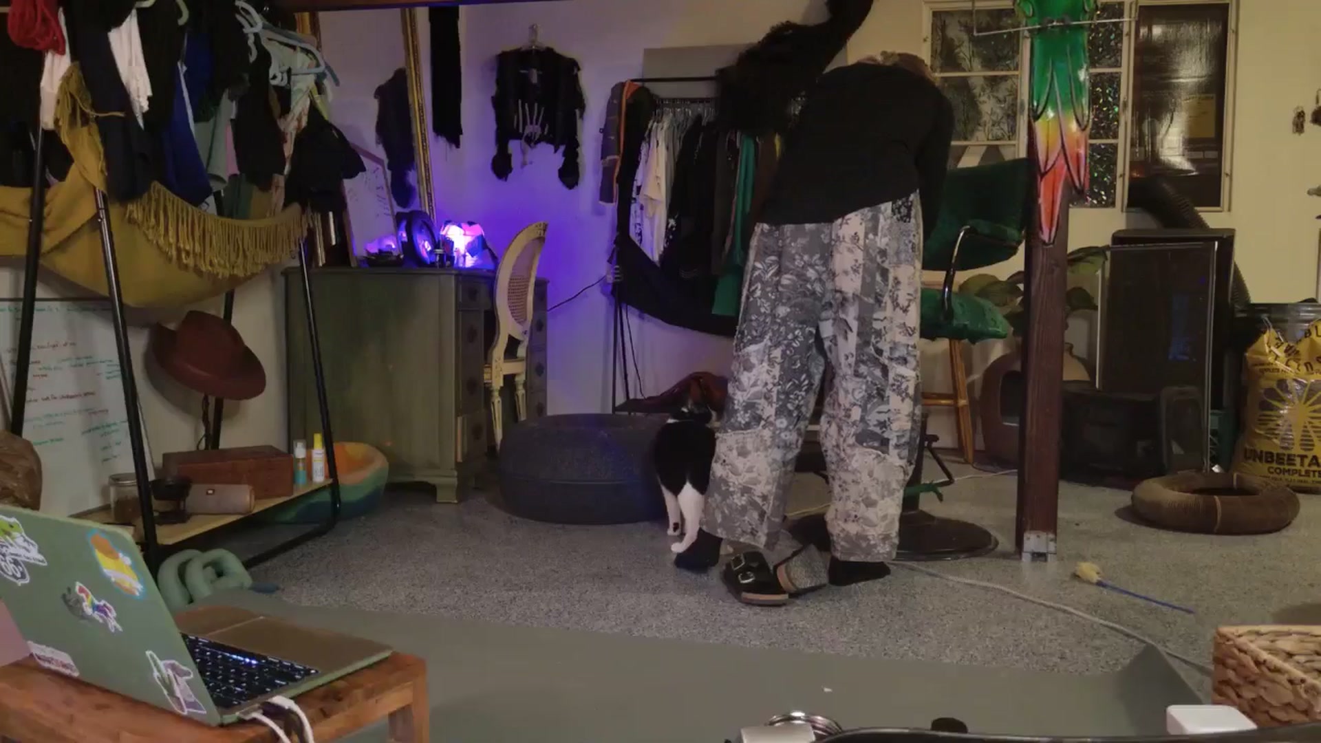 Gallery image thumbnail from ellispierce's myfreecams stream on, 11/09/2025, 08:00 image 20 of 20