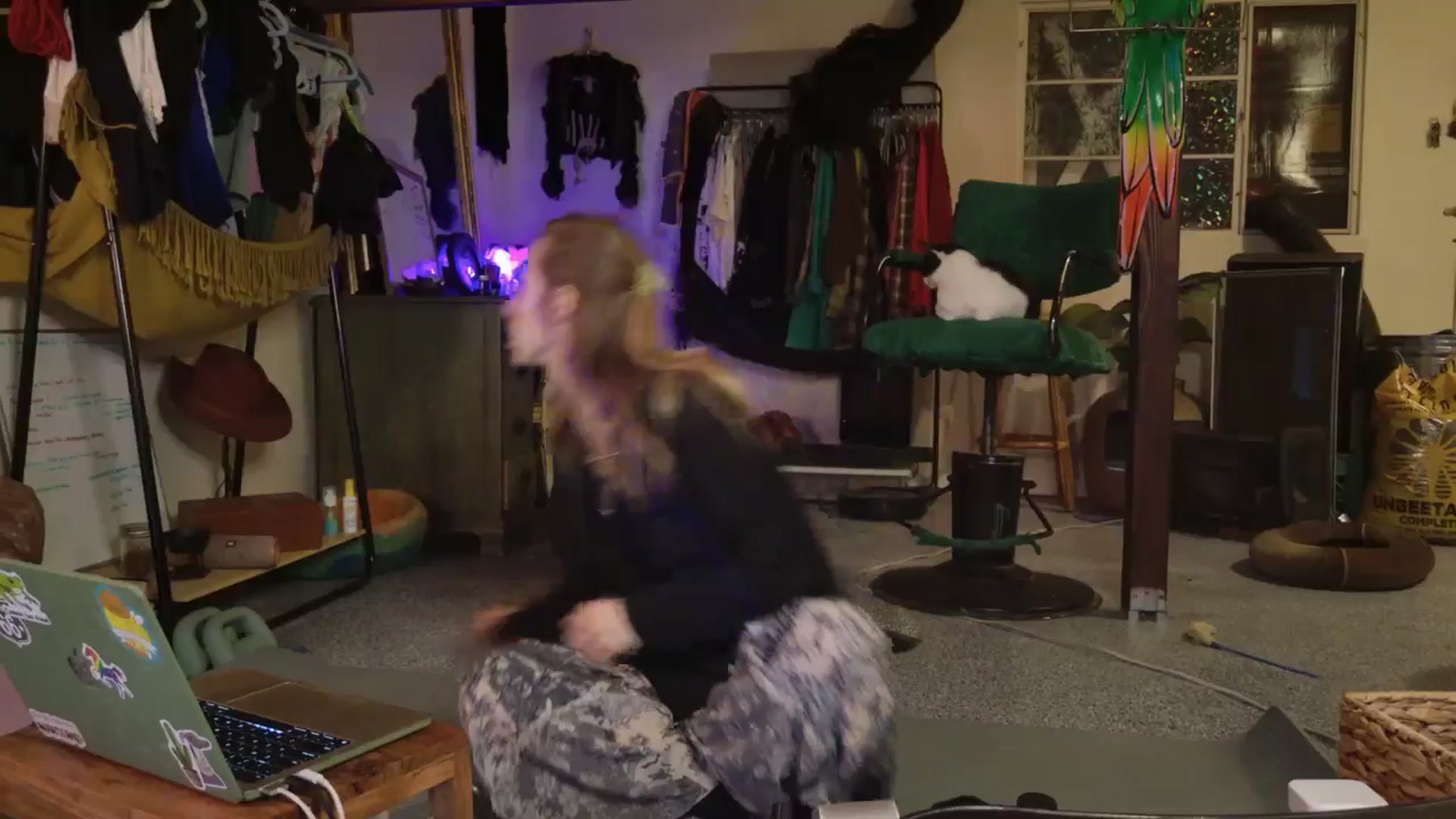 Gallery image thumbnail from ellispierce's myfreecams stream on, 11/09/2025, 08:00 image 13 of 20