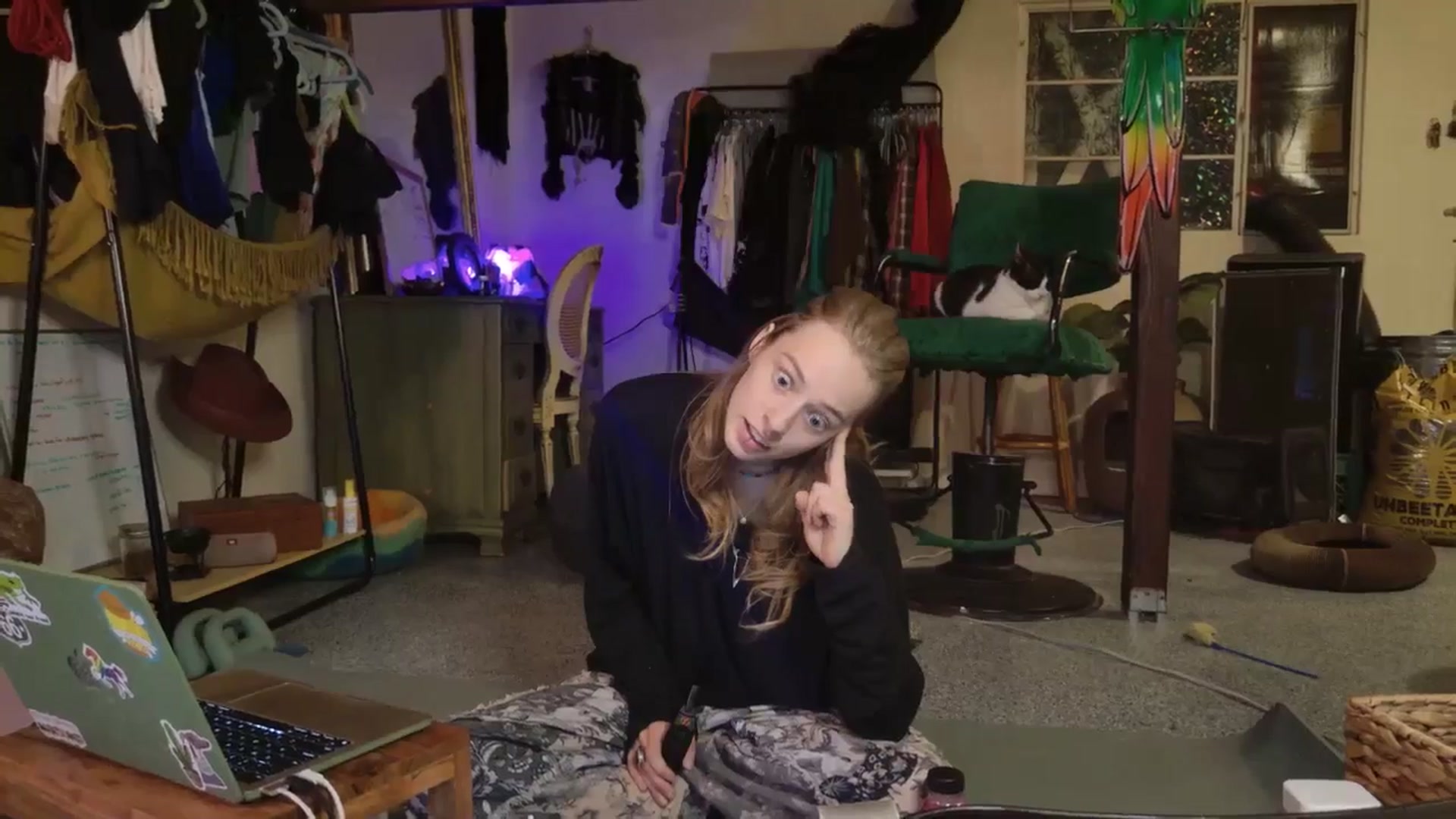 Gallery image thumbnail from ellispierce's myfreecams stream on, 11/09/2025, 08:00 image 6 of 20