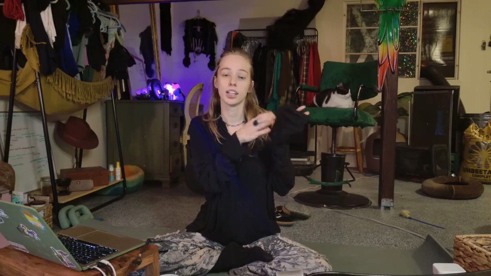 Gallery image thumbnail from ellispierce's myfreecams stream on, 11/09/2025, 08:00 image 2 of 20