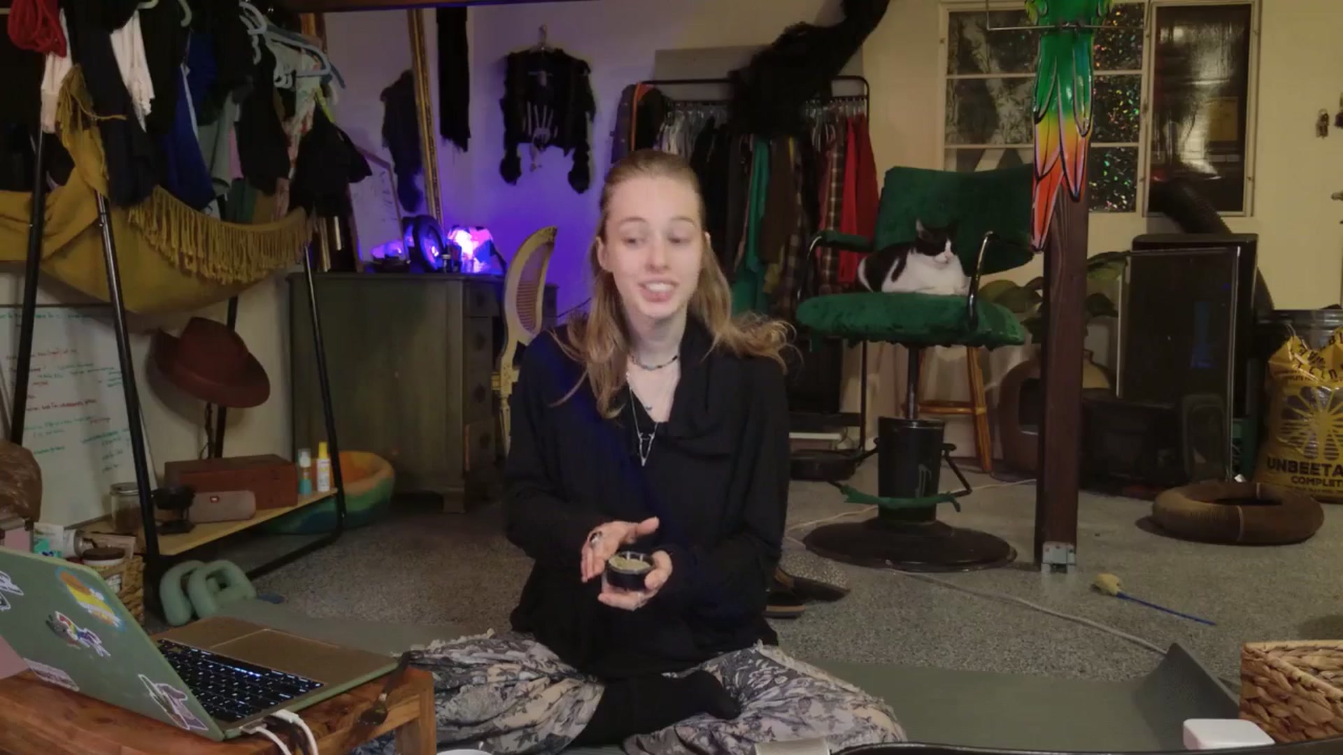 Gallery image thumbnail from ellispierce's myfreecams stream on, 11/09/2025, 08:00 image 3 of 20