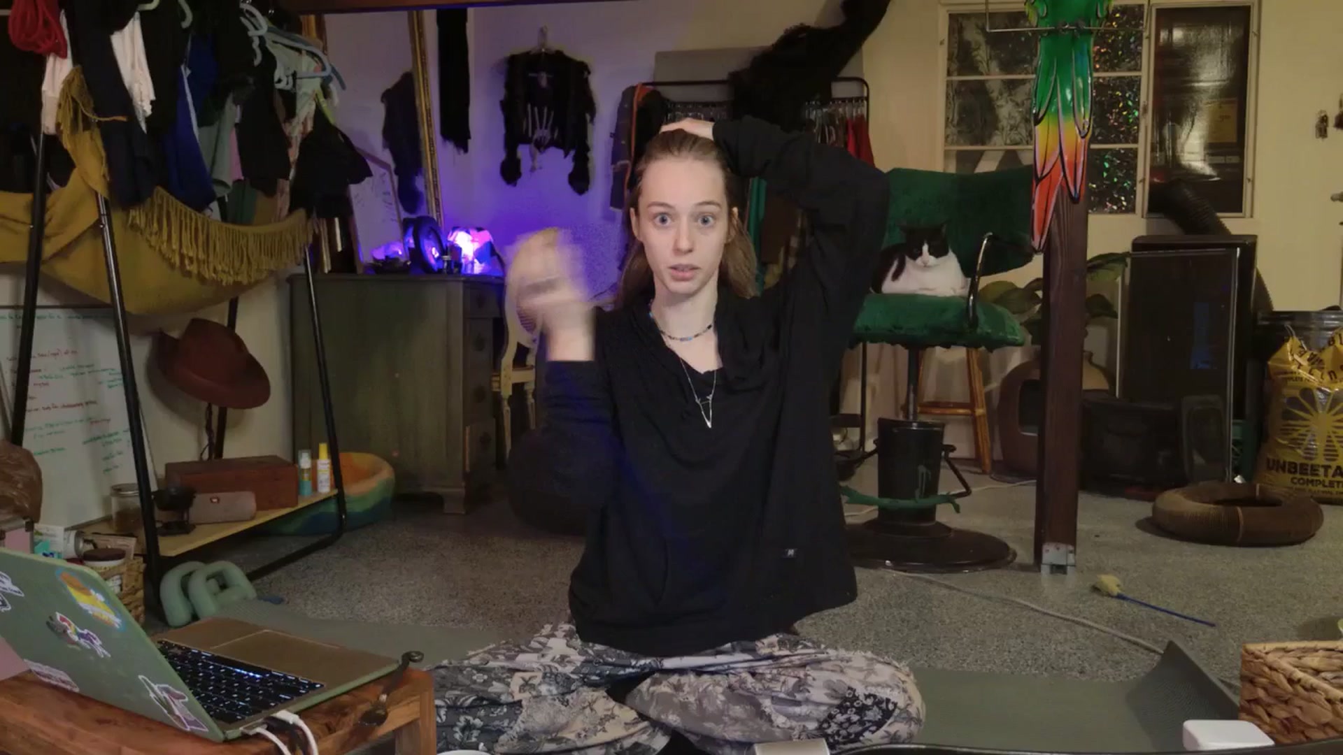 Gallery image thumbnail from ellispierce's myfreecams stream on, 11/09/2025, 08:00 image 1 of 20