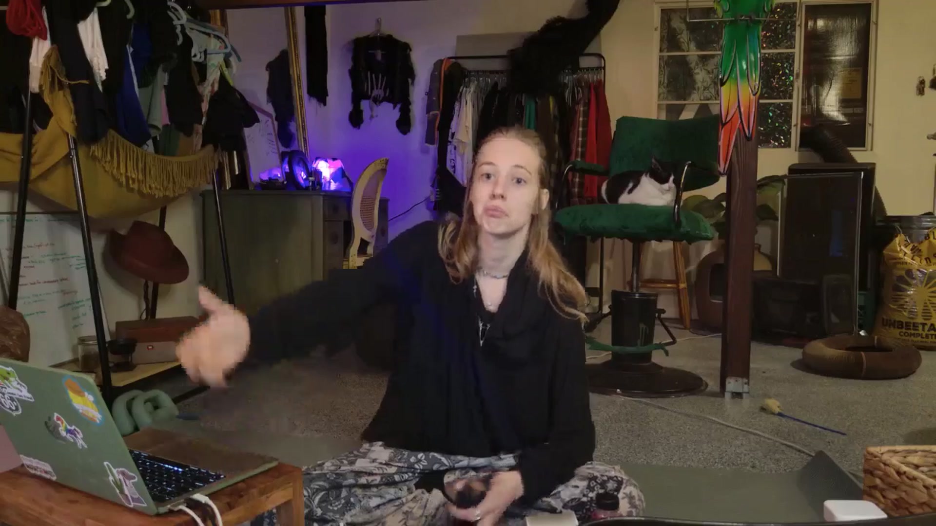 Gallery image thumbnail from ellispierce's myfreecams stream on, 11/09/2025, 08:00 image 8 of 20
