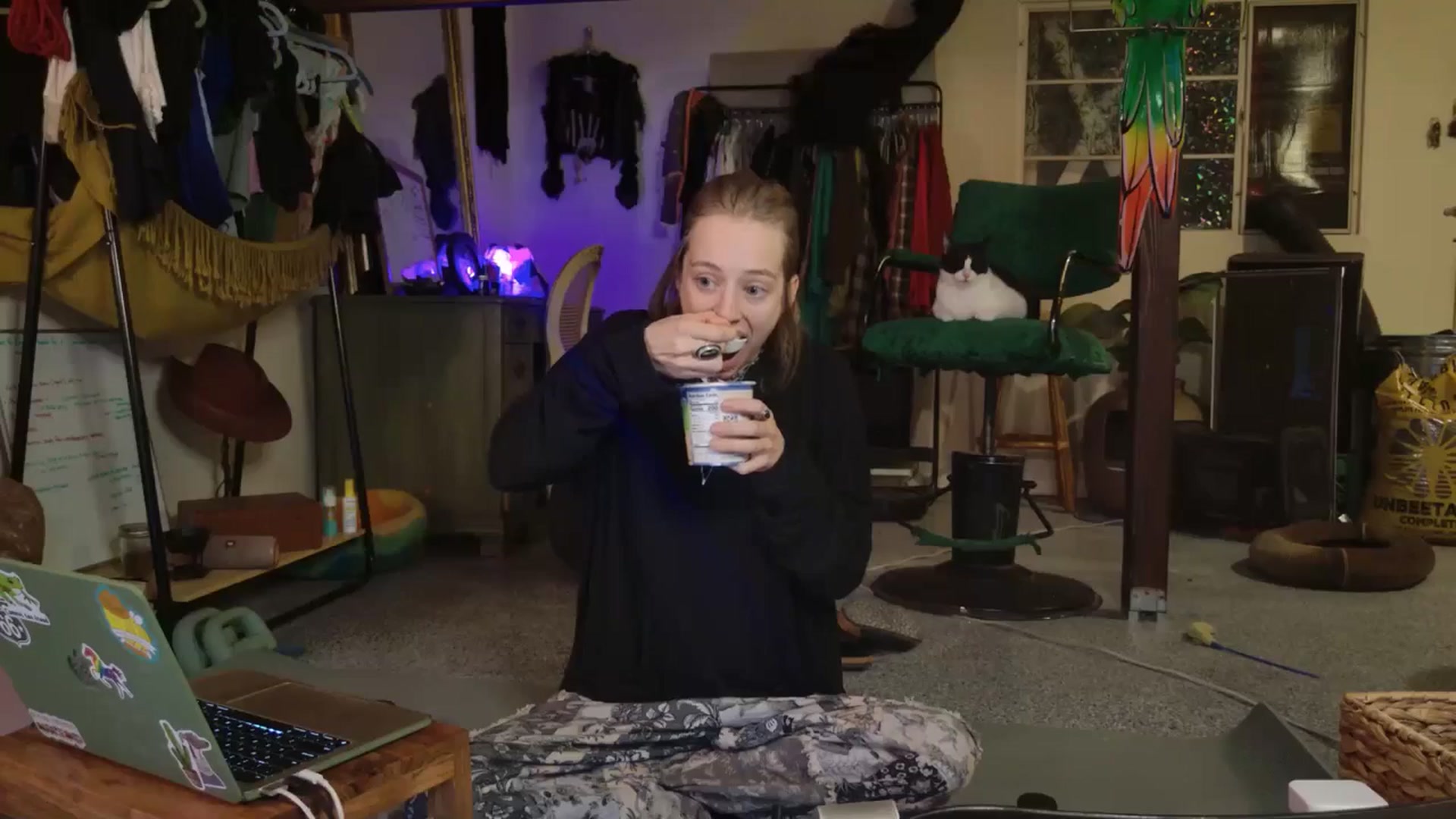 Gallery image thumbnail from ellispierce's myfreecams stream on, 11/09/2025, 08:00 image 15 of 20