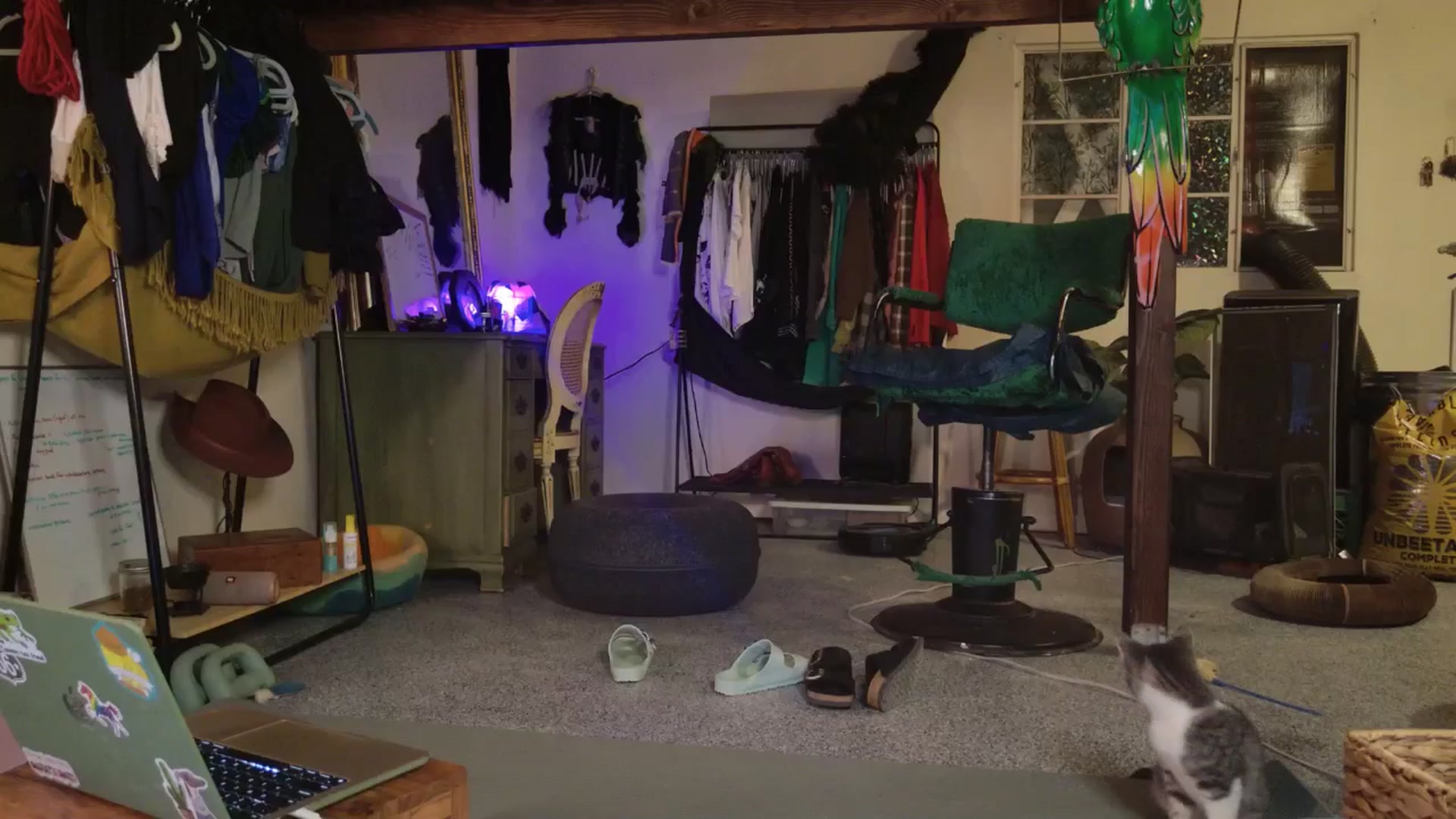 Gallery image thumbnail from ellispierce's myfreecams stream on, 11/09/2025, 11:12 image 3 of 20