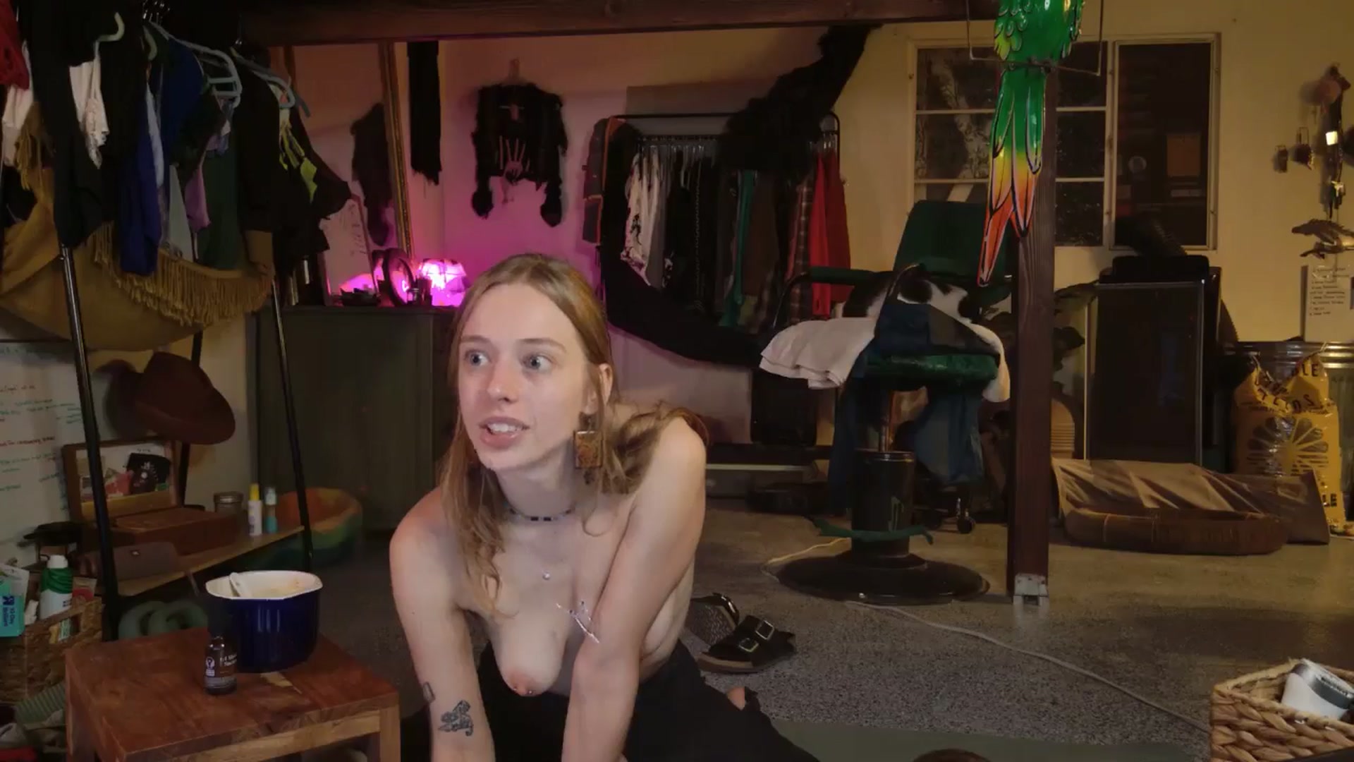 Gallery image thumbnail from ellispierce's myfreecams stream on, 11/10/2025, 04:19 image 16 of 20