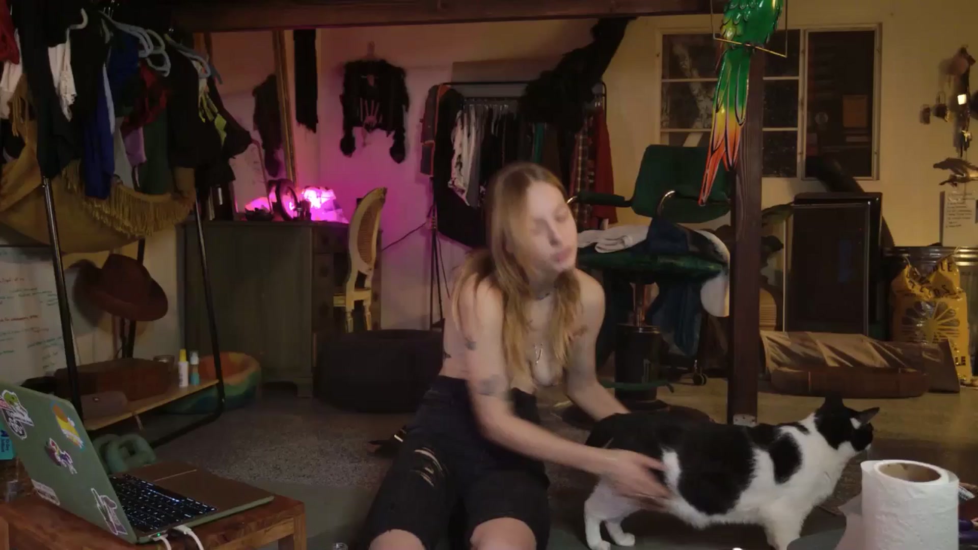 Gallery image thumbnail from ellispierce's myfreecams stream on, 11/10/2025, 09:41 image 18 of 20