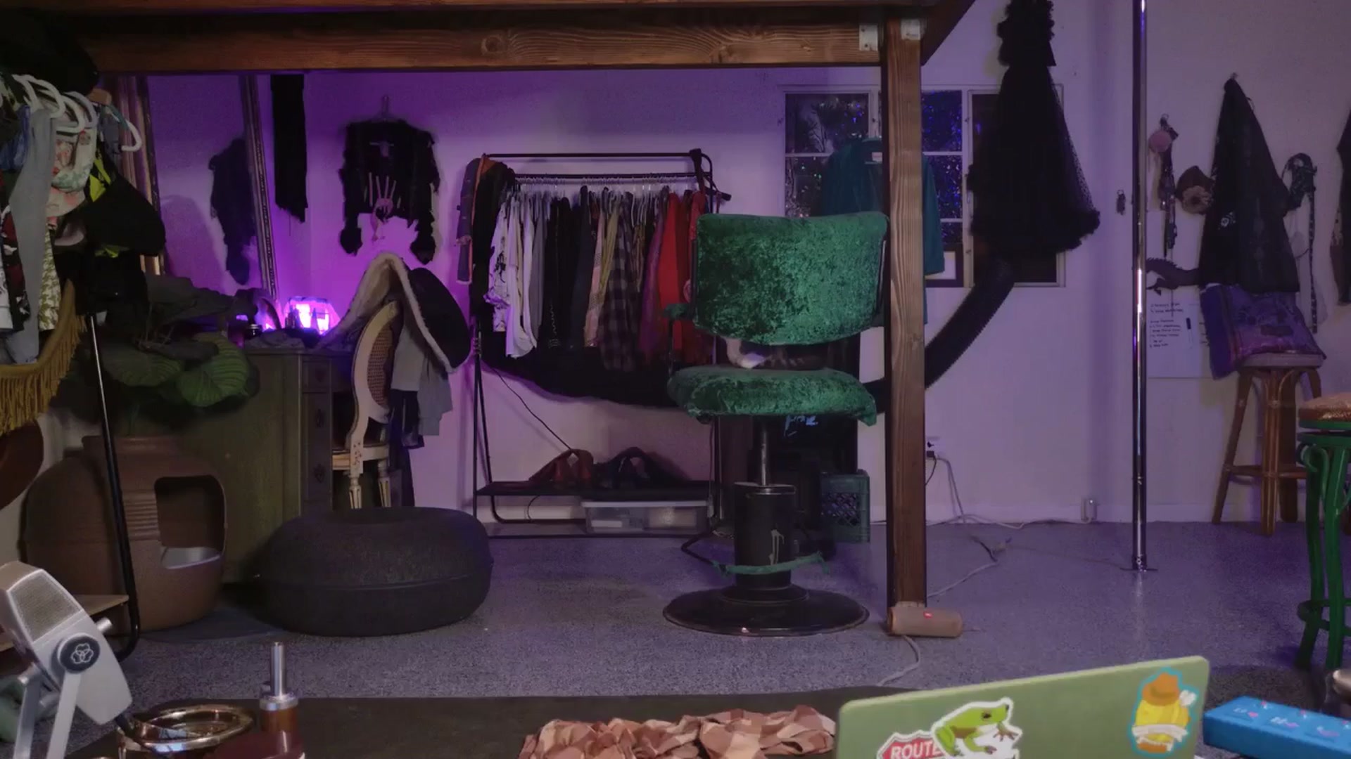 Gallery image thumbnail from ellispierce's myfreecams stream on, 11/30/2025, 08:26 image 5 of 20