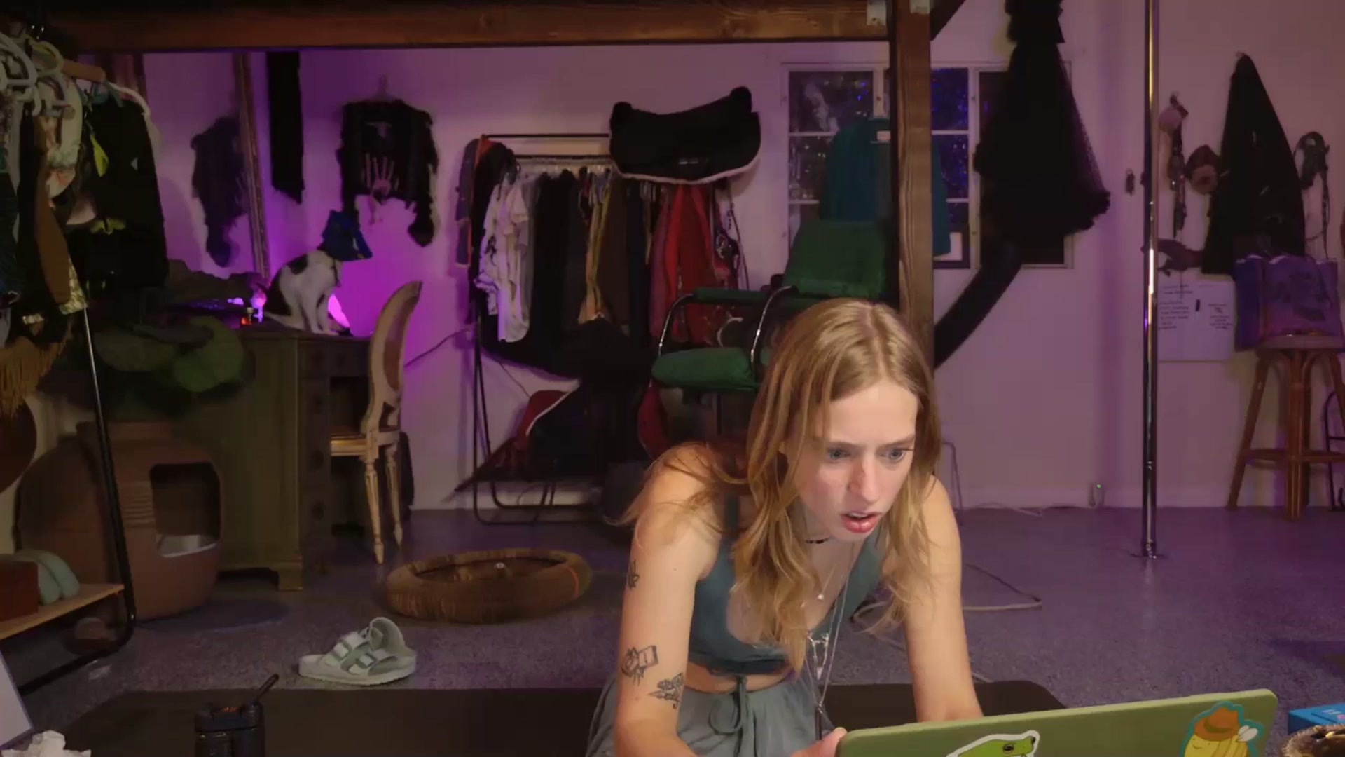 Gallery image thumbnail from ellispierce's myfreecams stream on, 12/01/2025, 08:03 image 3 of 20