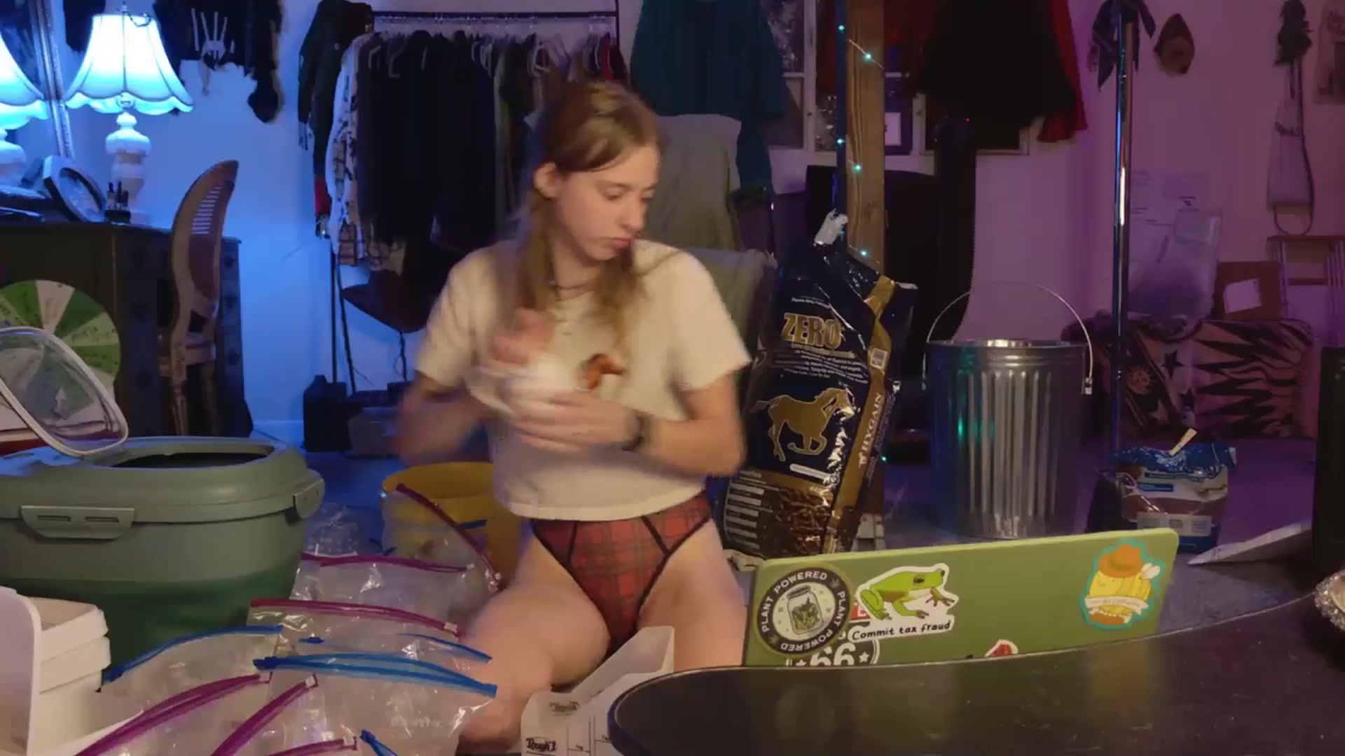 Gallery image thumbnail from ellispierce's myfreecams stream on, 02/03/2026, 09:19 image 8 of 20