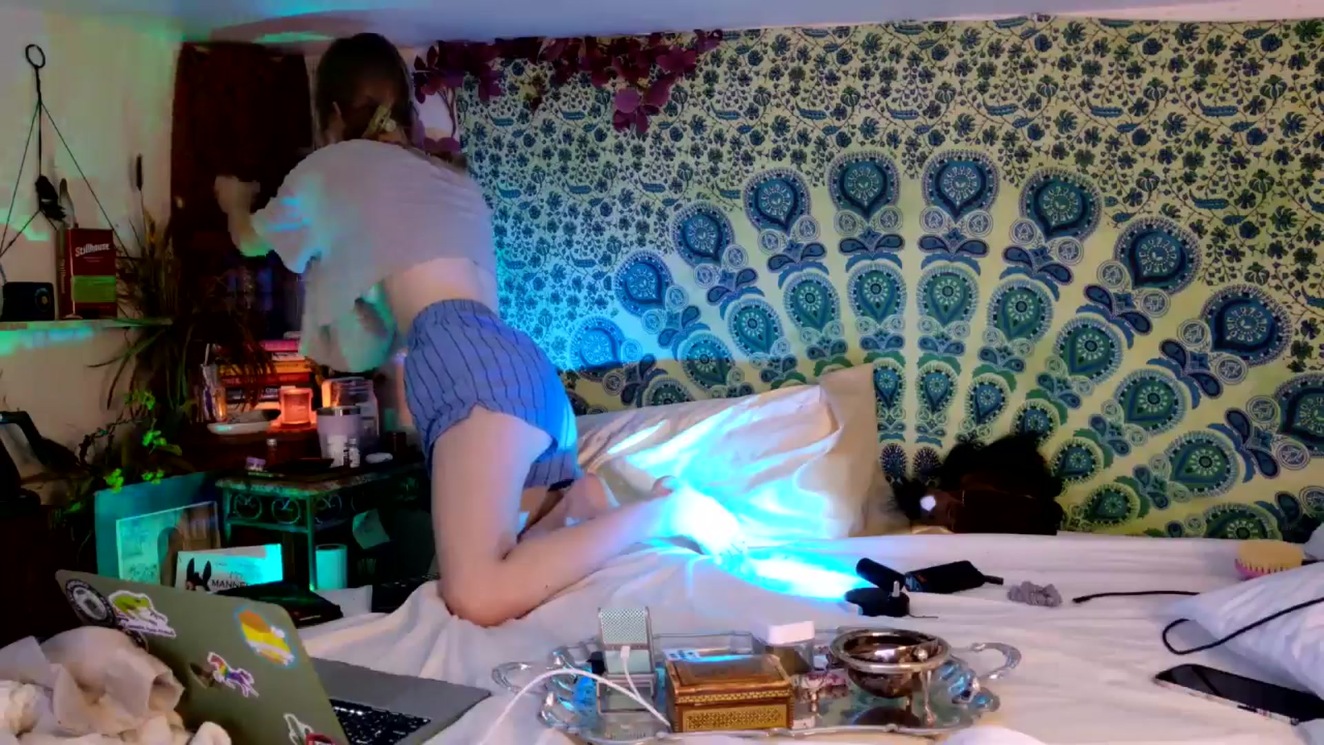 Gallery image thumbnail from ellispierce's myfreecams stream on, 03/23/2026, 10:30 image 12 of 20