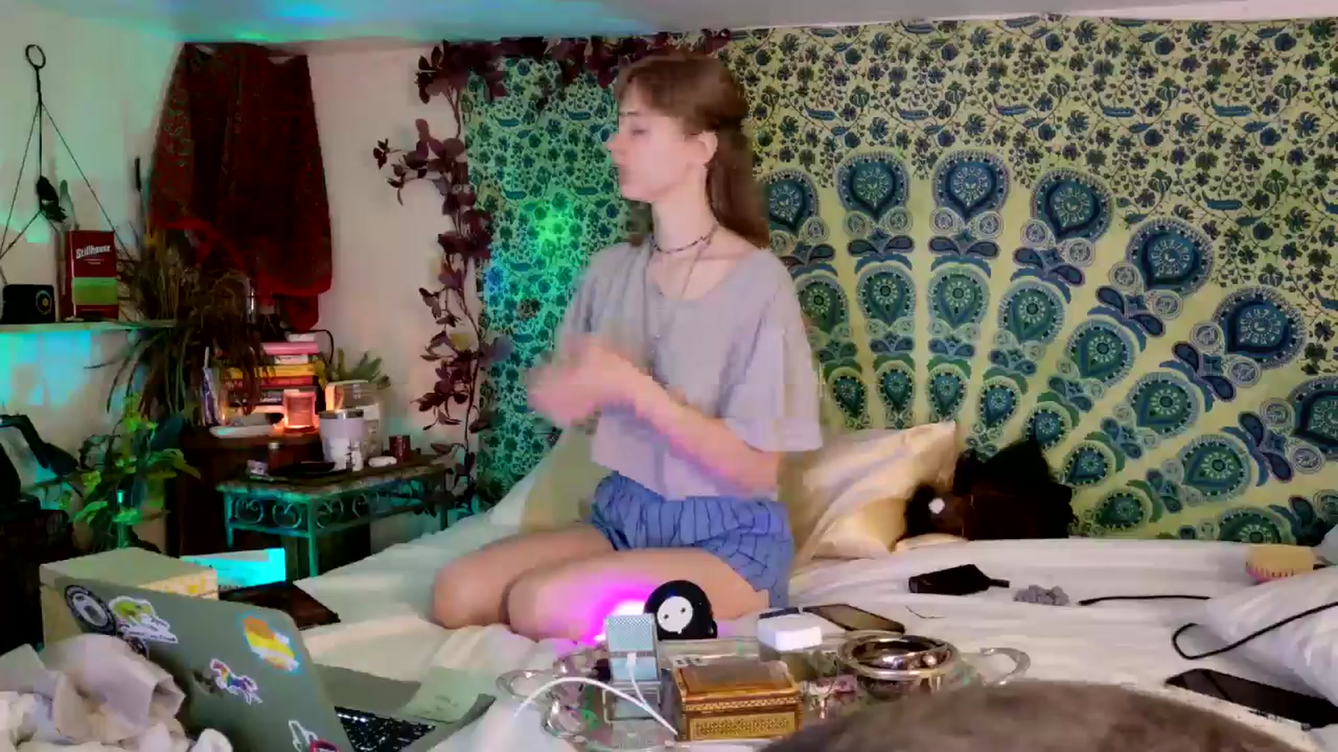 Gallery image thumbnail from ellispierce's myfreecams stream on, 03/23/2026, 10:30 image 13 of 20