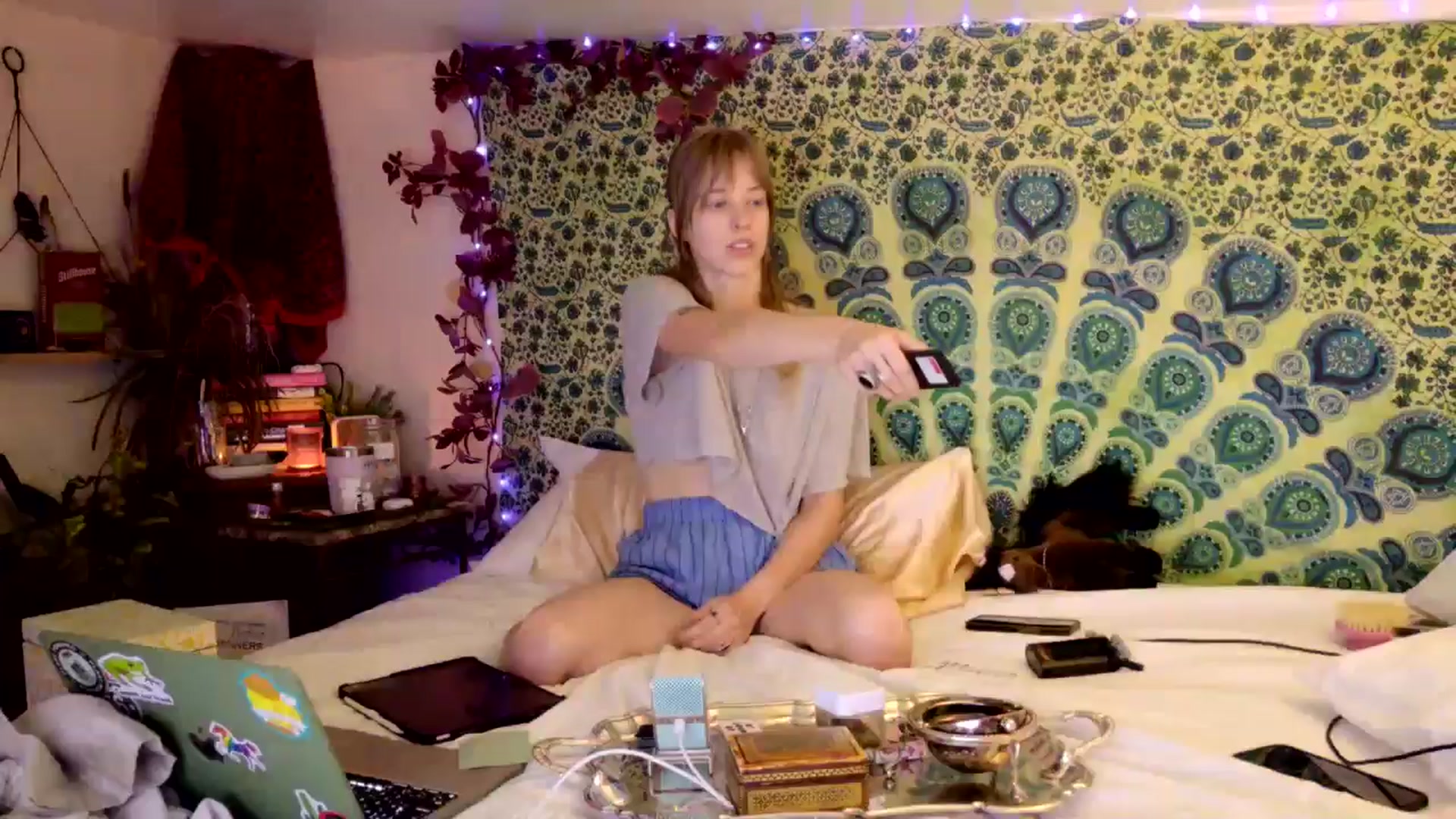 Gallery image thumbnail from ellispierce's myfreecams stream on, 03/23/2026, 10:30 image 16 of 20