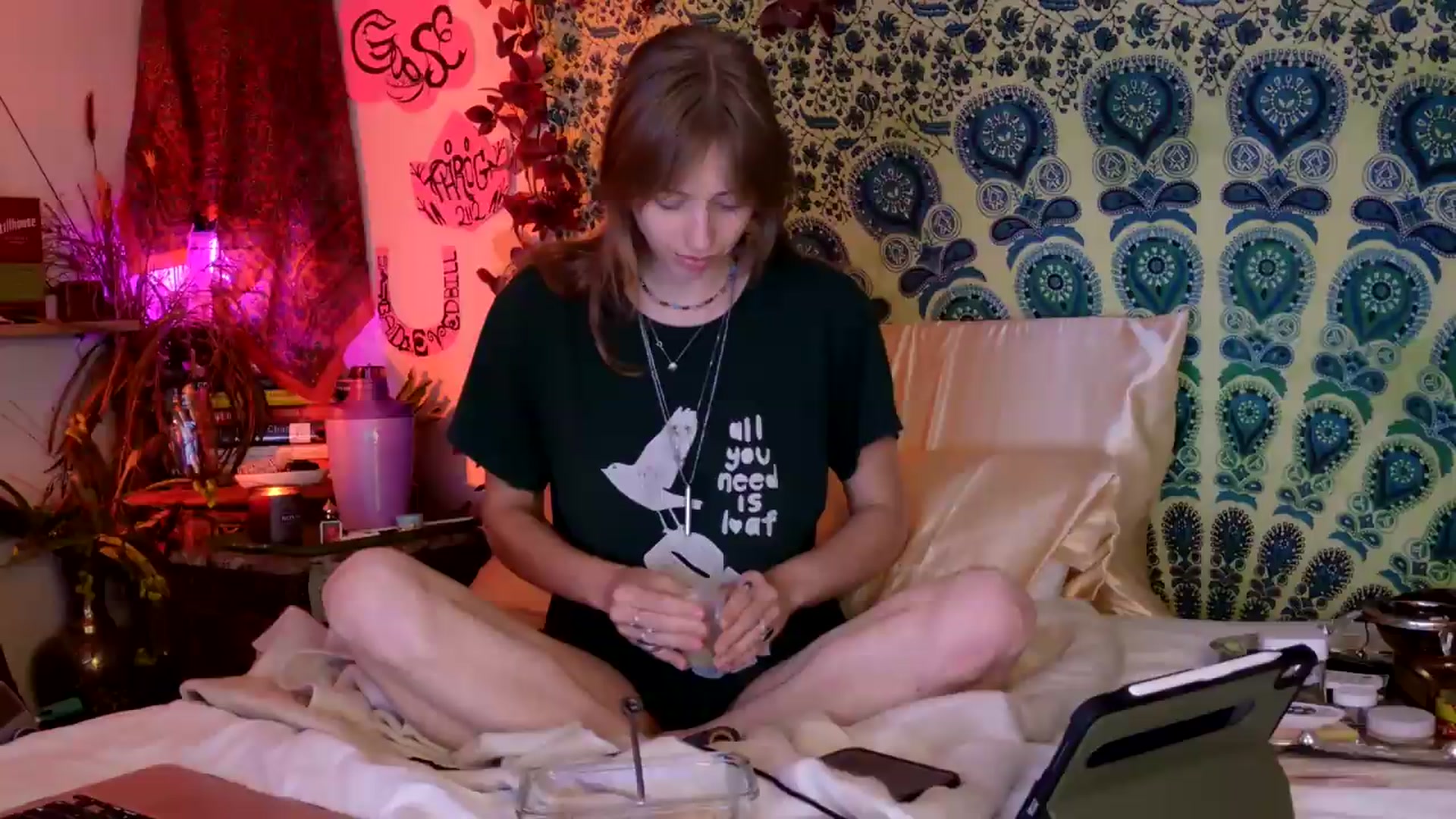 Gallery image thumbnail from ellispierce's myfreecams stream on, 04/07/2026, 09:08 image 14 of 20