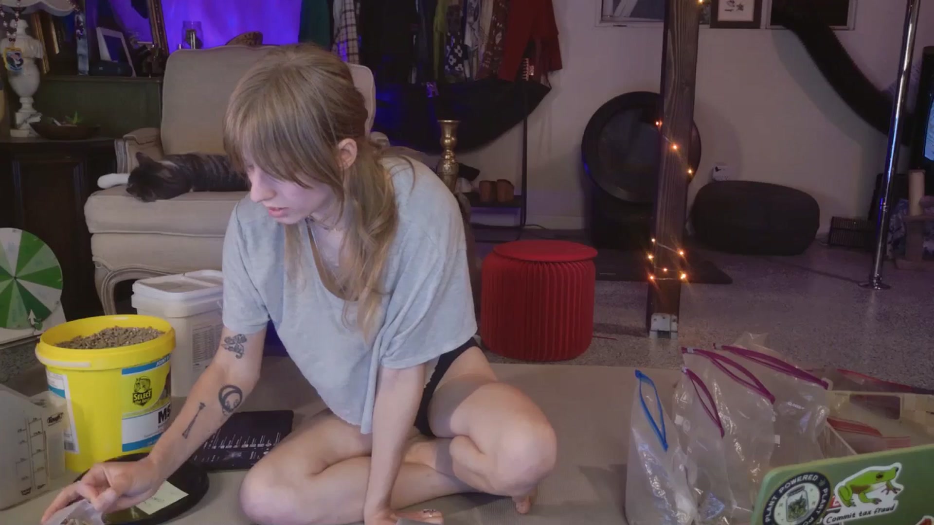 Gallery image thumbnail from ellispierce's myfreecams stream on, 04/09/2026, 08:28 image 5 of 20