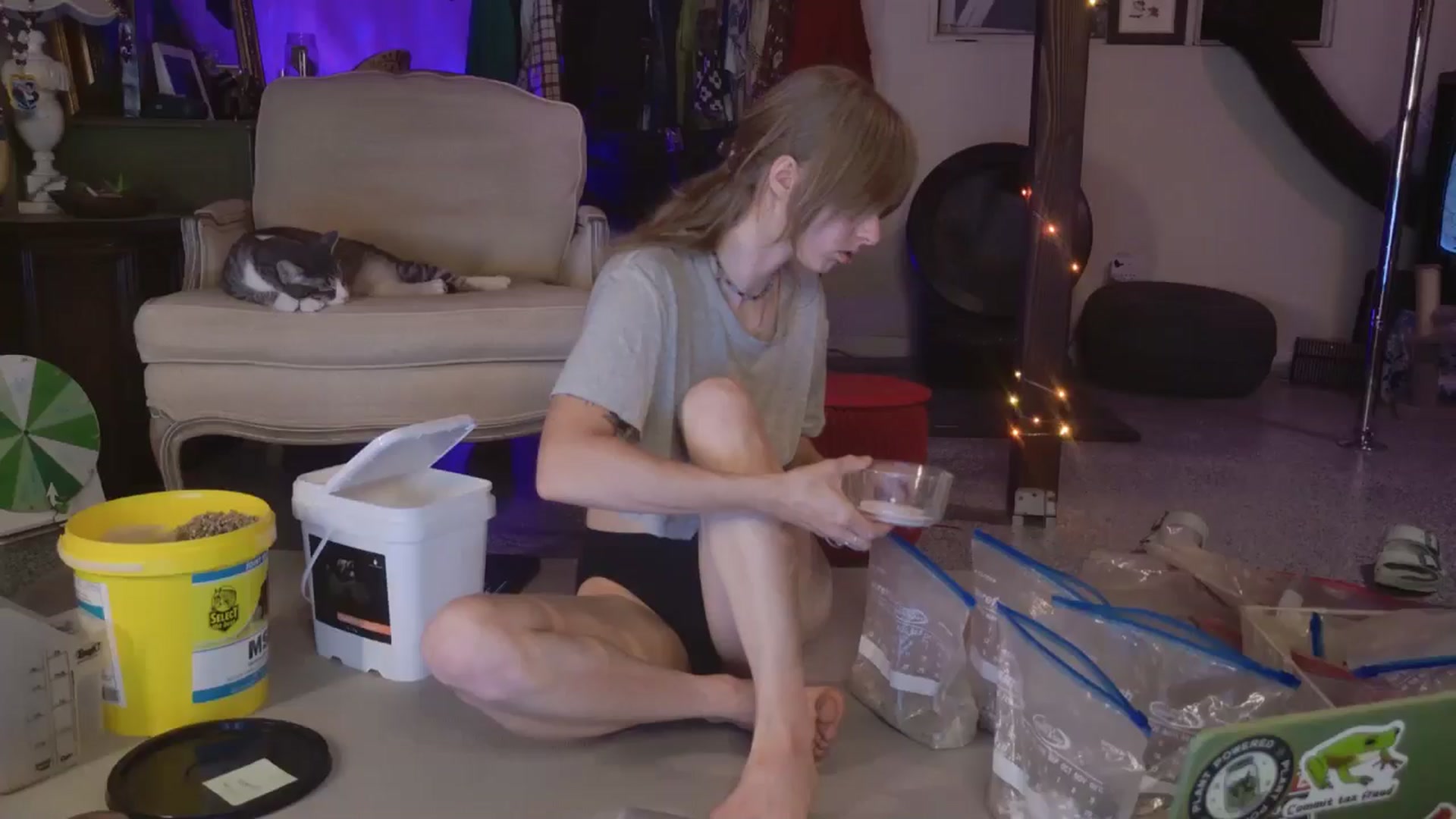 Gallery image thumbnail from ellispierce's myfreecams stream on, 04/09/2026, 08:28 image 9 of 20