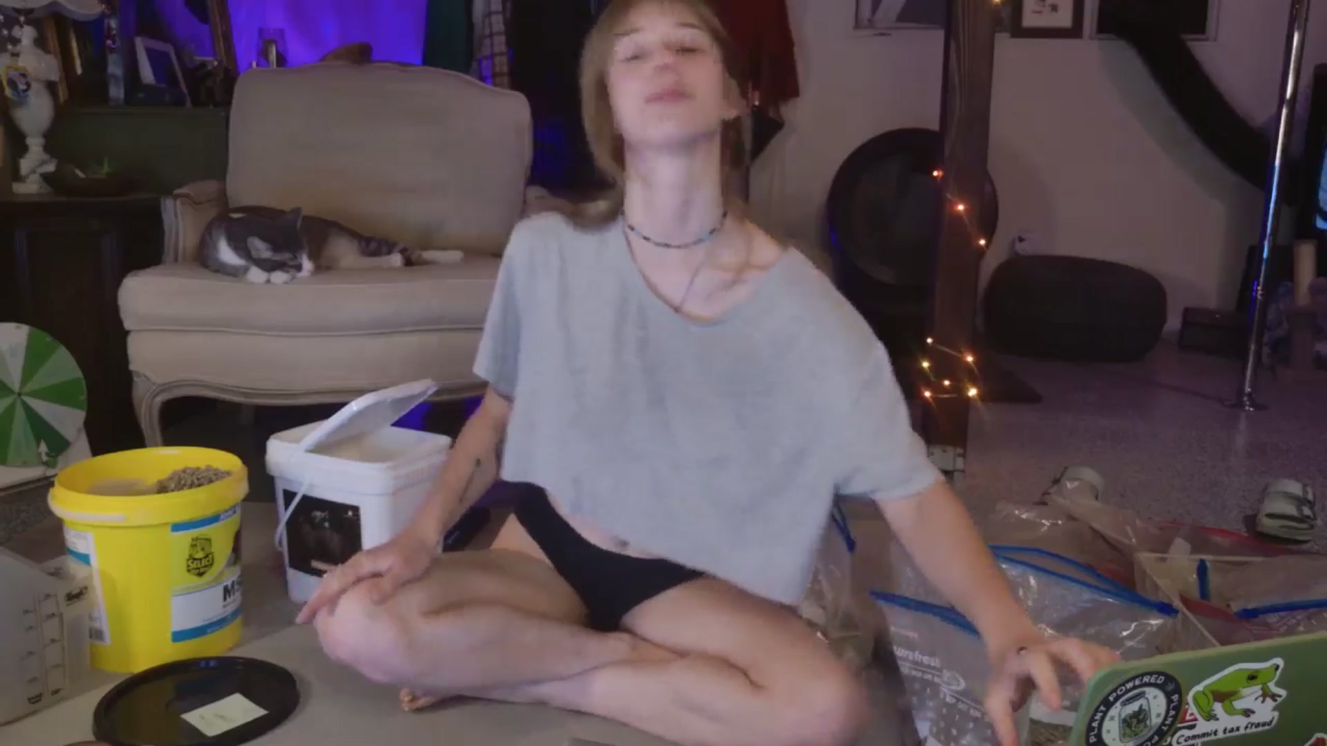 Gallery image thumbnail from ellispierce's myfreecams stream on, 04/09/2026, 08:28 image 10 of 20