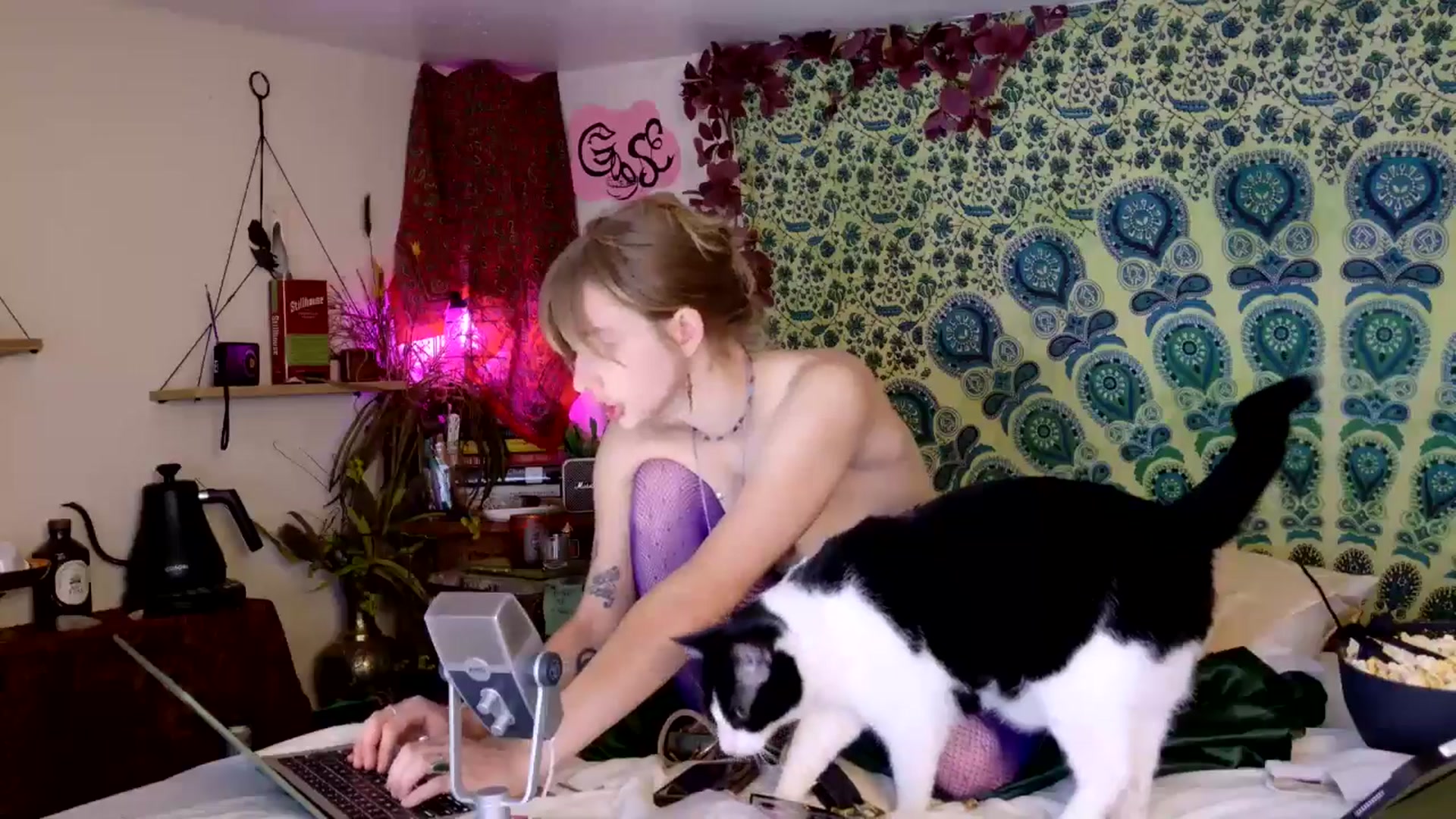 Gallery image thumbnail from ellispierce's myfreecams stream on, 04/10/2026, 08:16 image 19 of 20