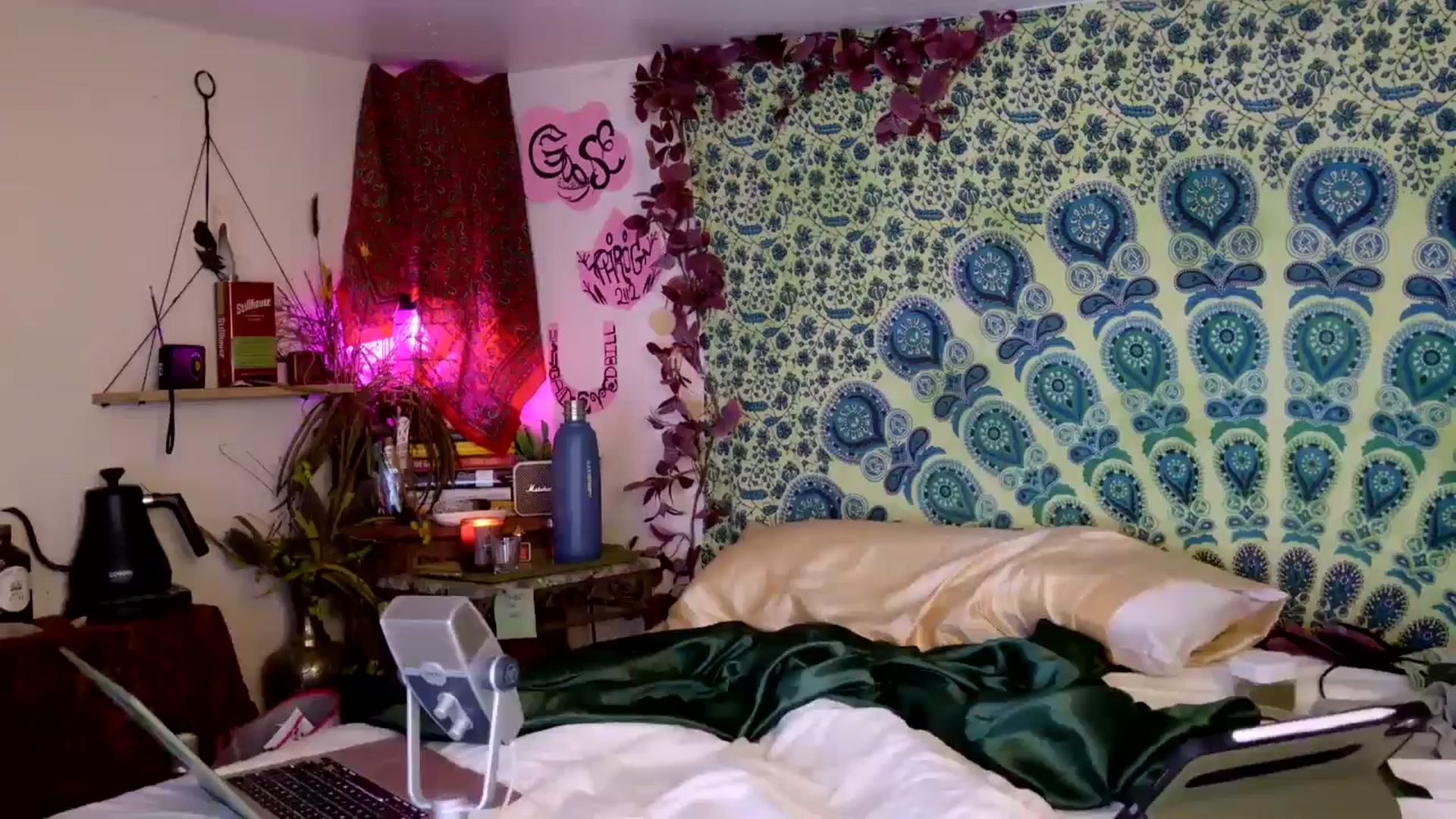 Gallery image thumbnail from ellispierce's myfreecams stream on, 04/10/2026, 08:16 image 9 of 20