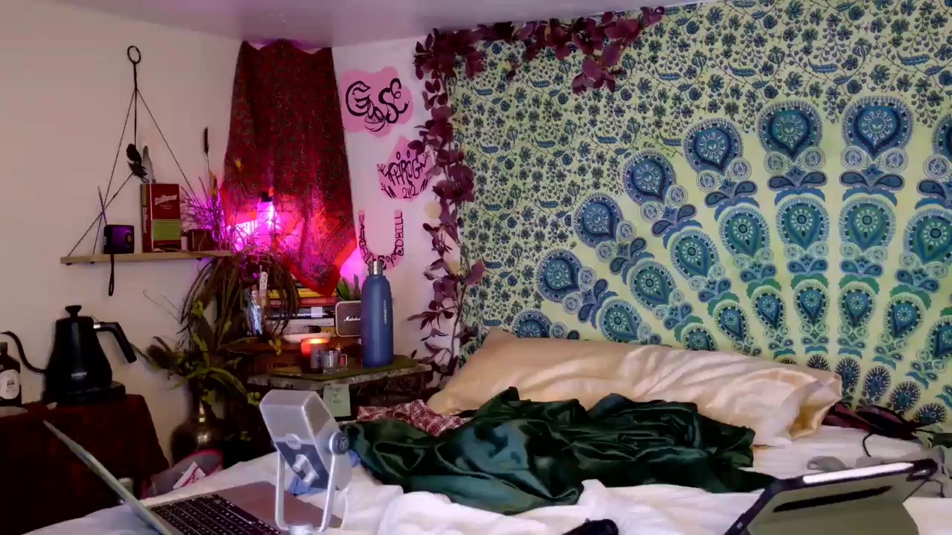 Gallery image thumbnail from ellispierce's myfreecams stream on, 04/10/2026, 08:16 image 6 of 20