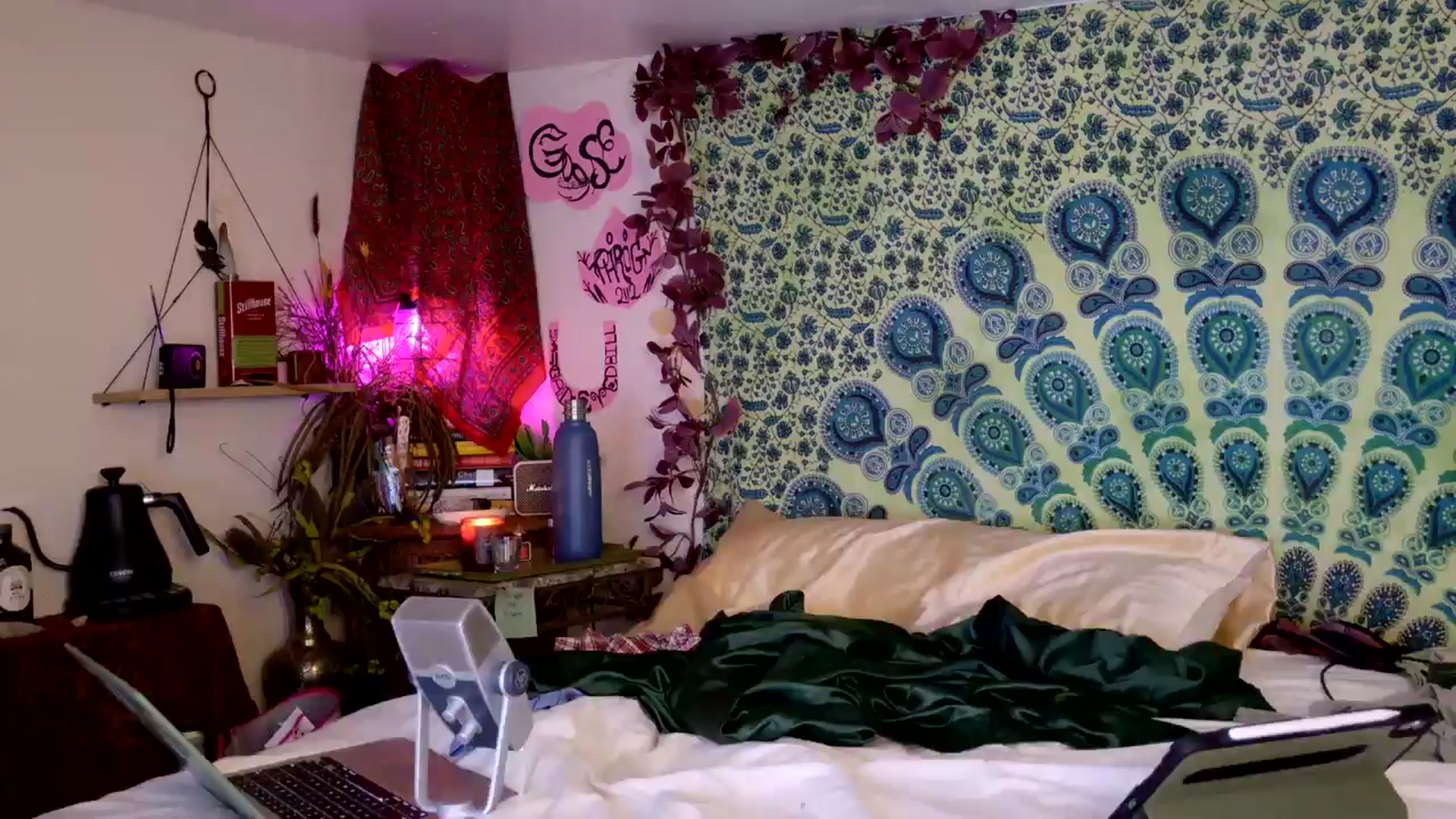 Gallery image thumbnail from ellispierce's myfreecams stream on, 04/10/2026, 08:16 image 4 of 20