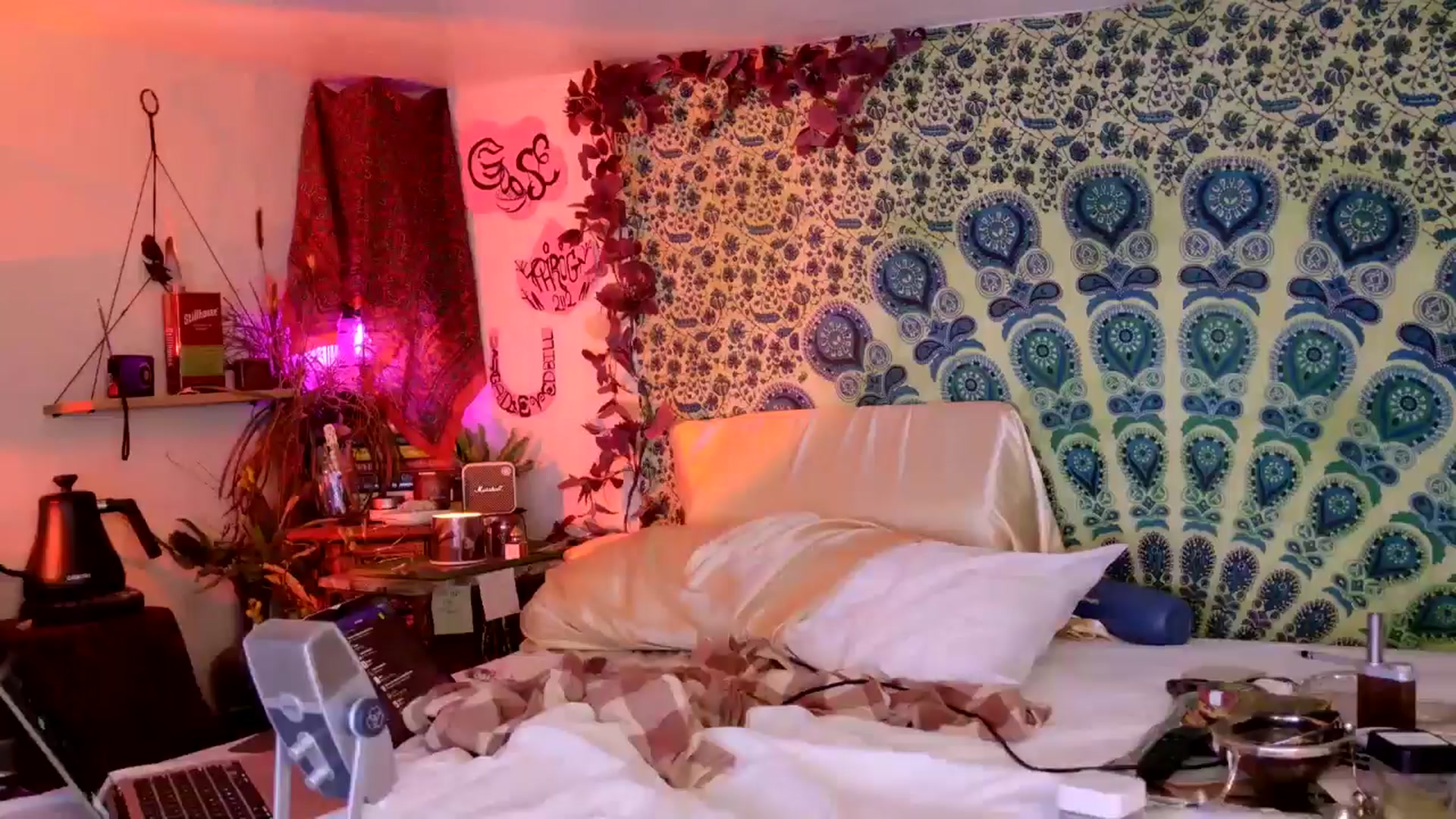 Gallery image thumbnail from ellispierce's myfreecams stream on, 04/13/2026, 08:47 image 13 of 20