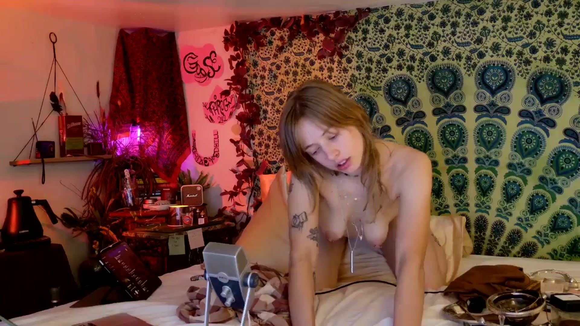 Gallery image thumbnail from ellispierce's myfreecams stream on, 04/13/2026, 09:35 image 18 of 20