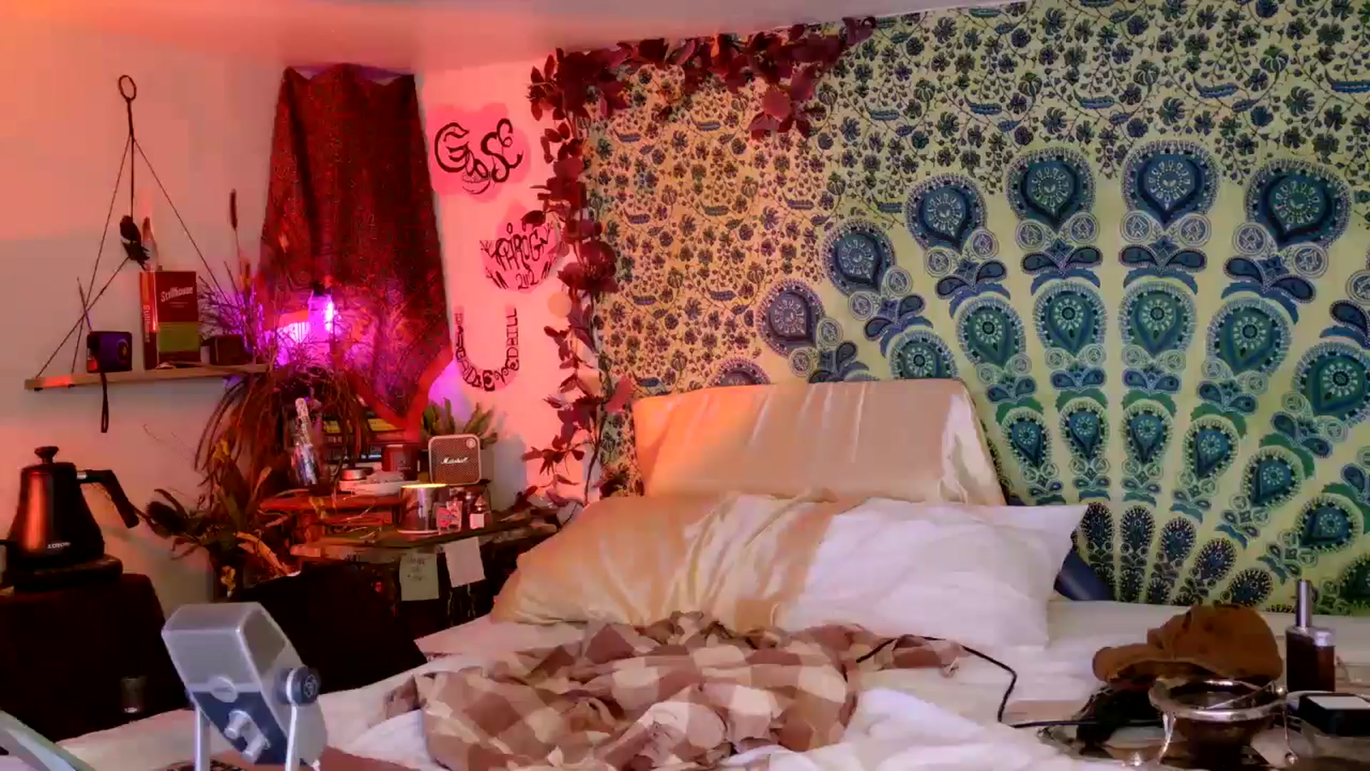 Gallery image thumbnail from ellispierce's myfreecams stream on, 04/13/2026, 09:35 image 2 of 20