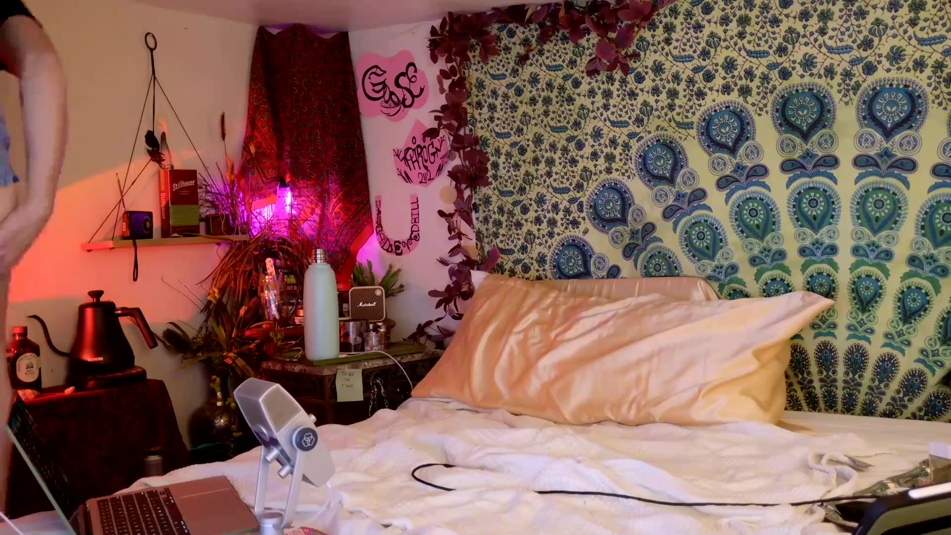 Gallery image thumbnail from ellispierce's myfreecams stream on, 04/16/2026, 07:04 image 12 of 20