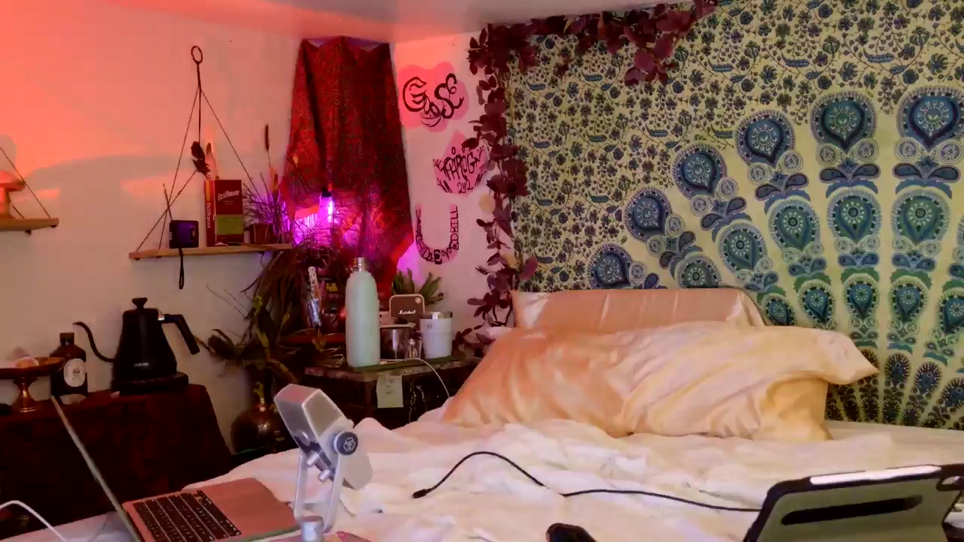 Gallery image thumbnail from ellispierce's myfreecams stream on, 04/16/2026, 10:51 image 4 of 20