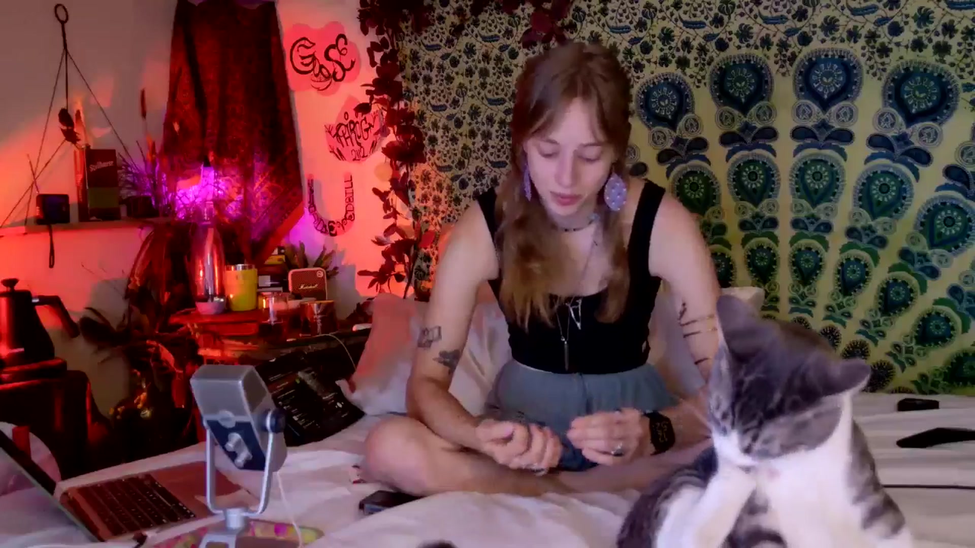 Gallery image thumbnail from ellispierce's myfreecams stream on, 04/23/2026, 09:43 image 4 of 20