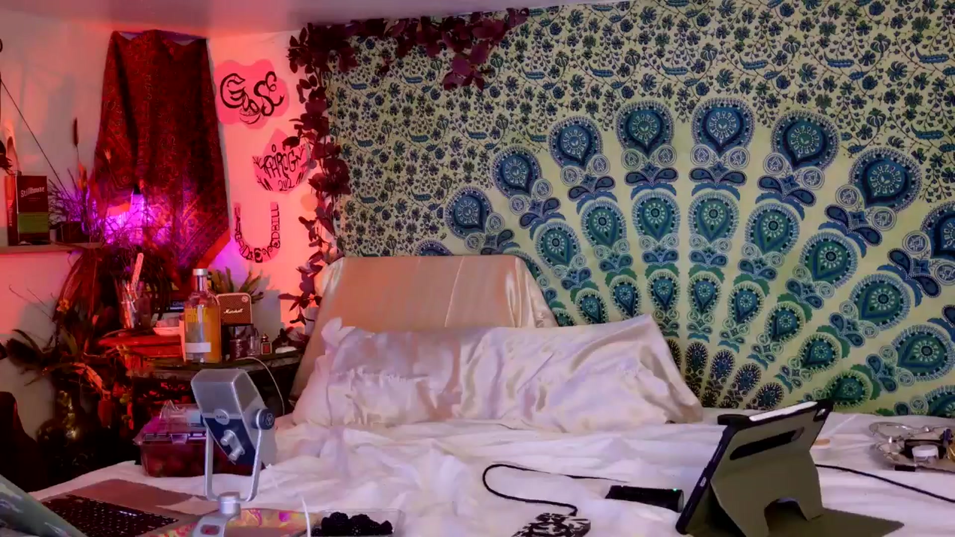 Gallery image thumbnail from ellispierce's myfreecams stream on, 04/24/2026, 09:55 image 5 of 20