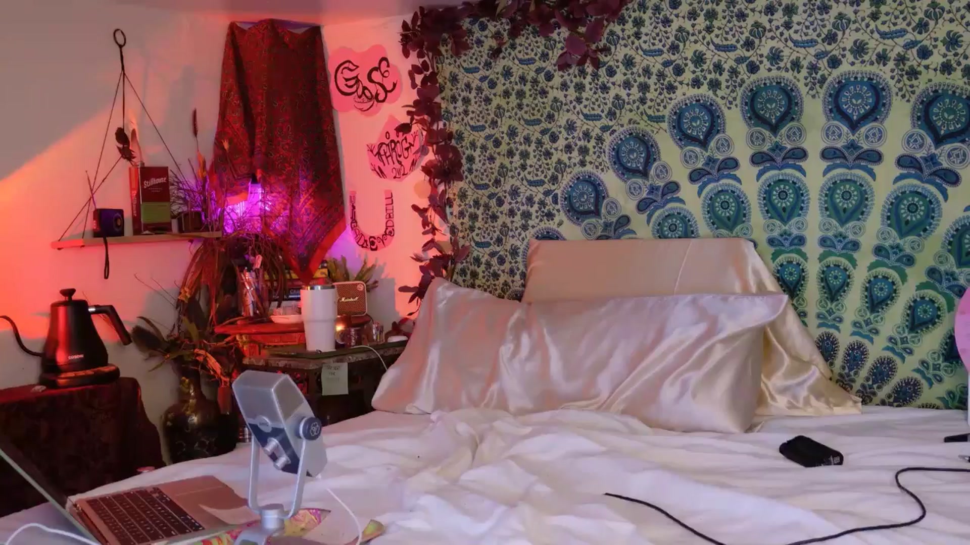 Gallery image thumbnail from ellispierce's myfreecams stream on, 04/26/2026, 09:34 image 13 of 20