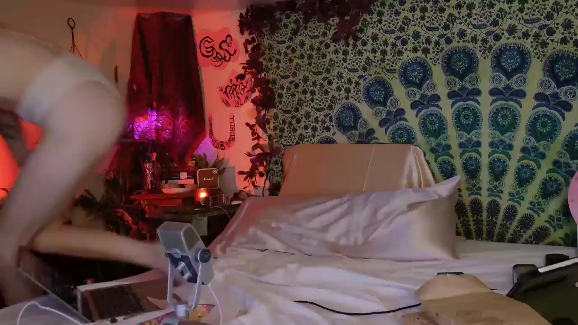 Gallery image thumbnail from ellispierce's myfreecams stream on, 04/26/2026, 09:34 image 8 of 20