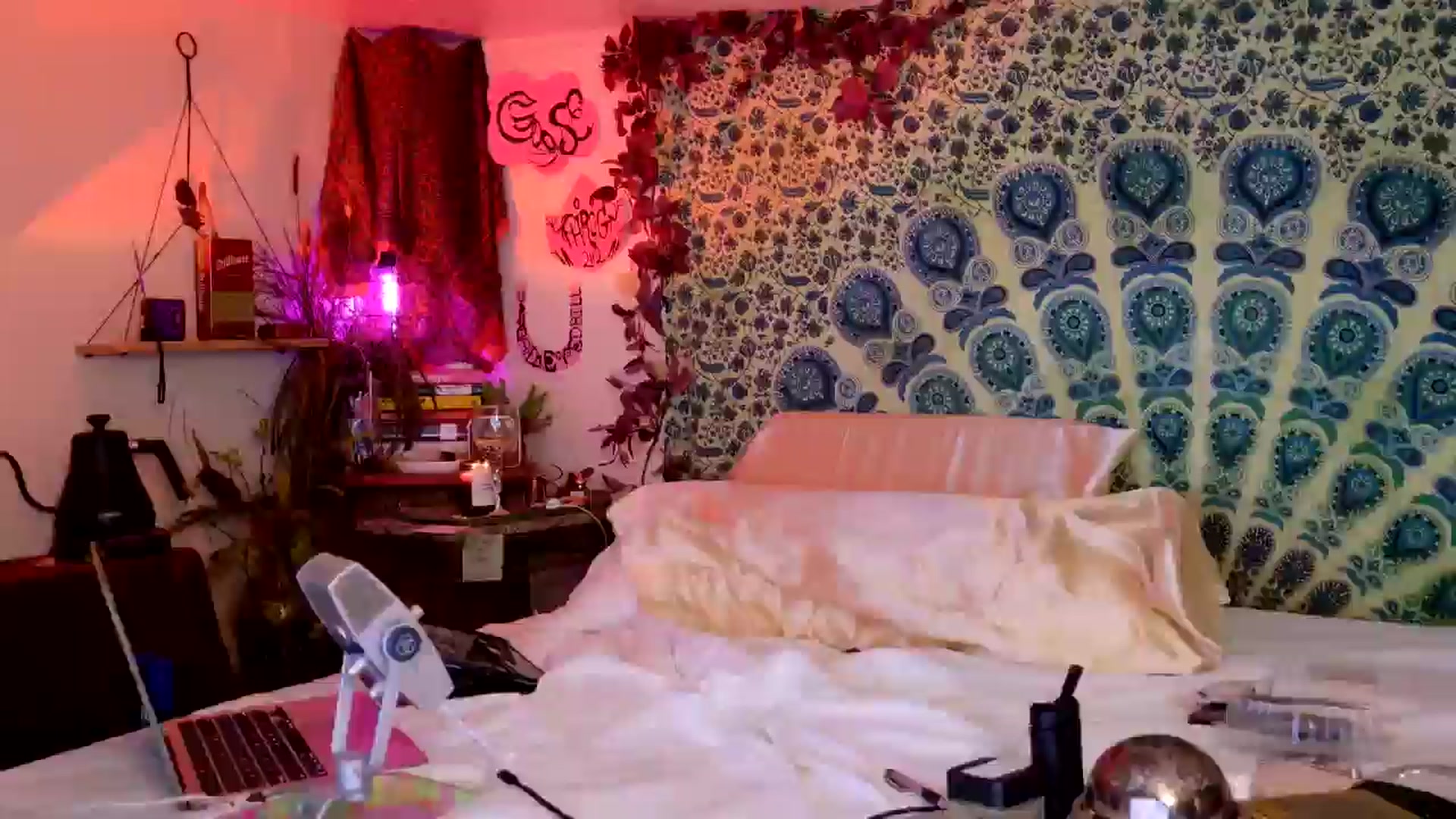 Gallery image thumbnail from ellispierce's myfreecams stream on, 05/10/2026, 08:08 image 15 of 20